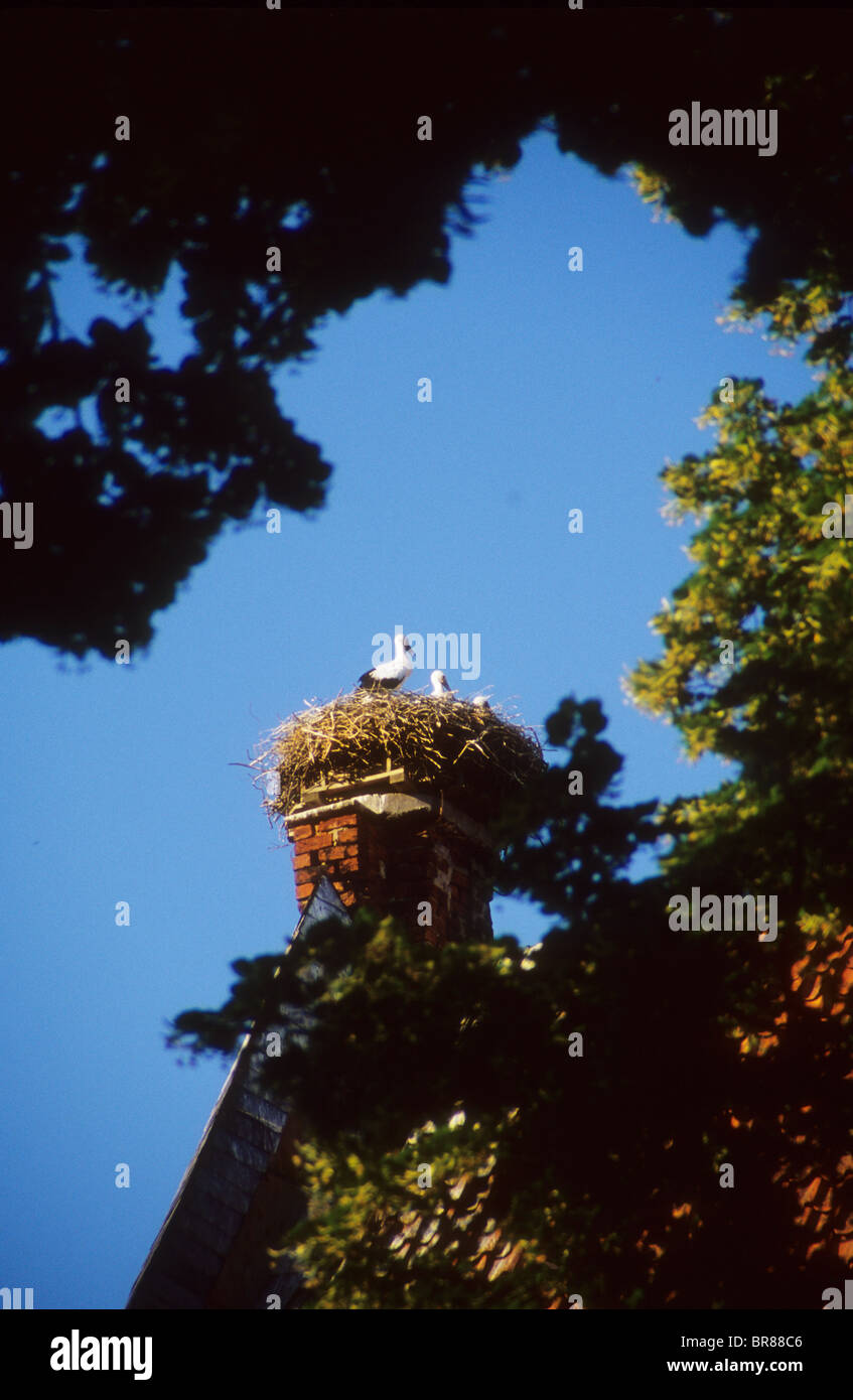 Stork nest Germany fireplace chimney good luck fortune chance happy