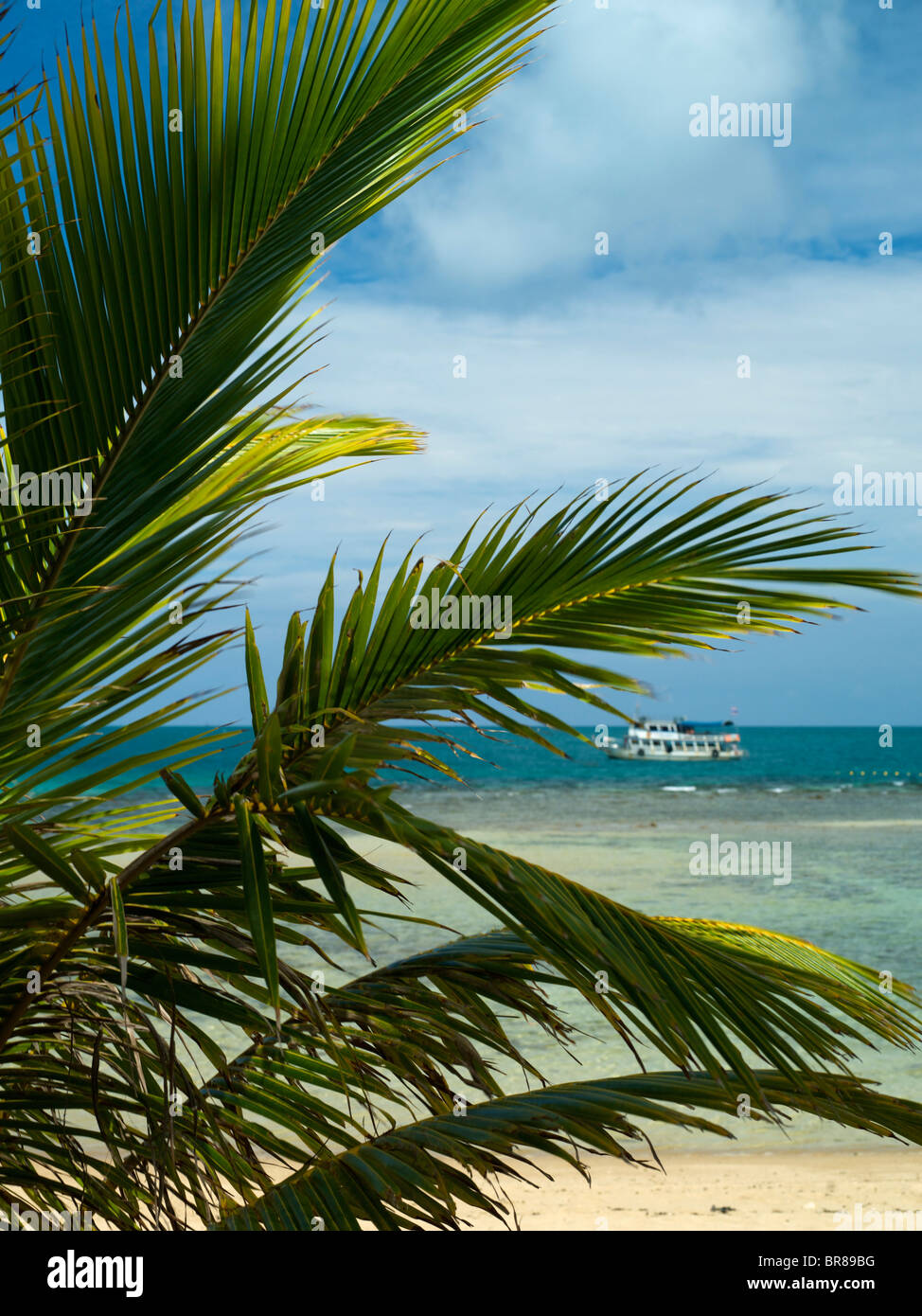 Island boat trip Stock Photo - Alamy