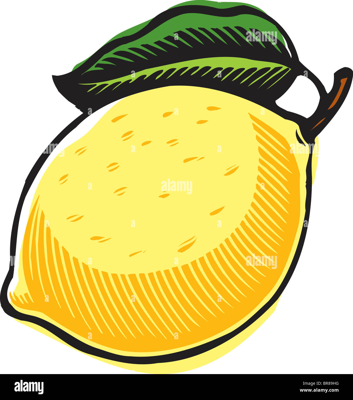A big yellow lemon on a white background Stock Photo