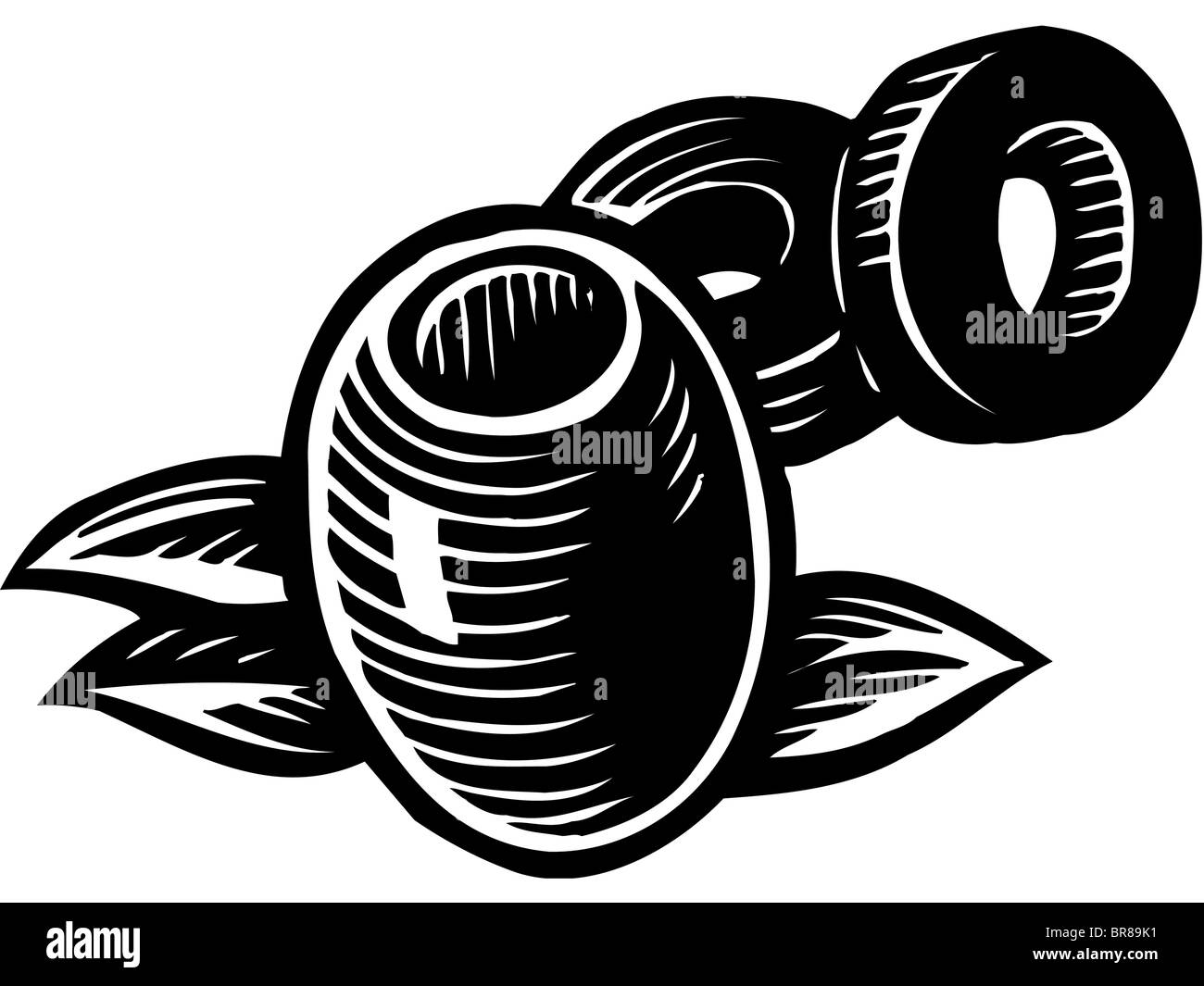A black and white illustration of olives Stock Photo