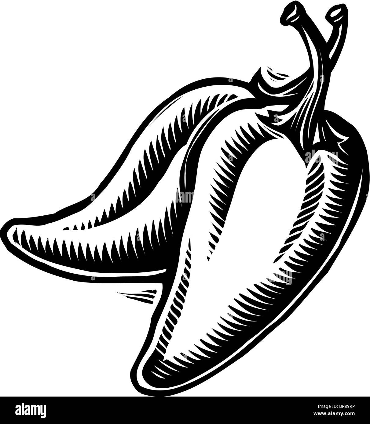 Two jalapeno peppers in black and white Stock Photo