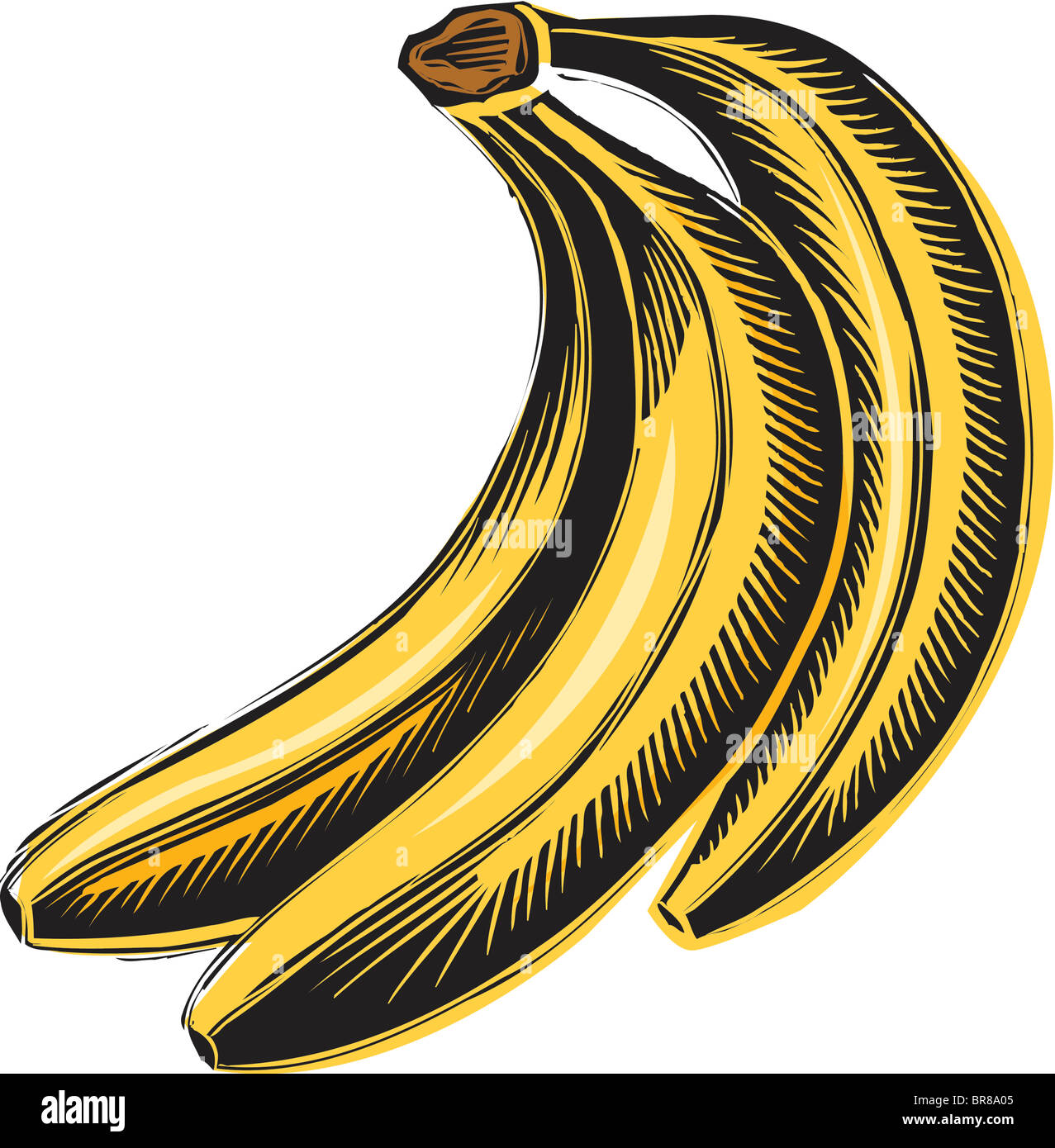 A pictorial representation of a bunch of bananas Stock Photo Alamy