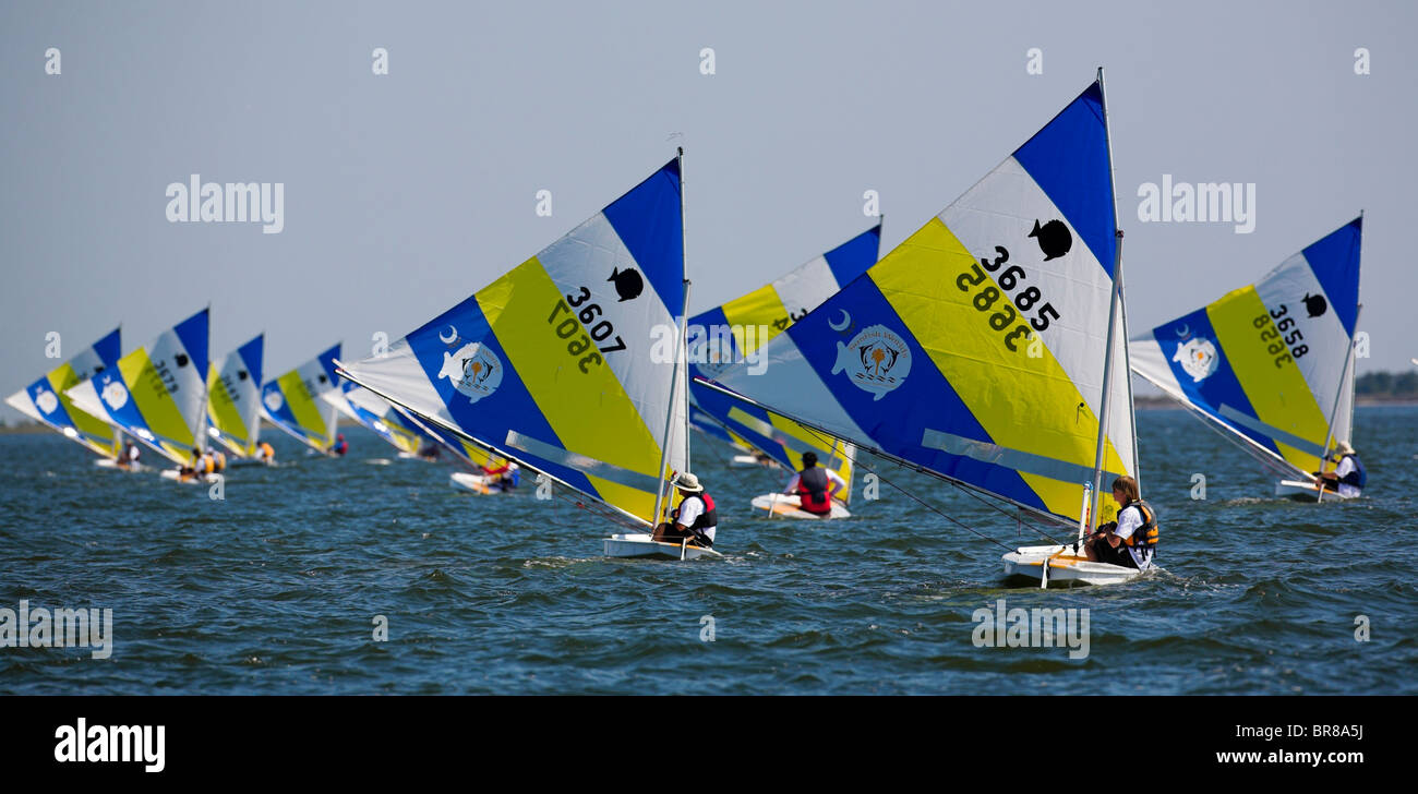 Sunfish Racing Rig Lateen rigs hi-res stock photography and images - Alamy