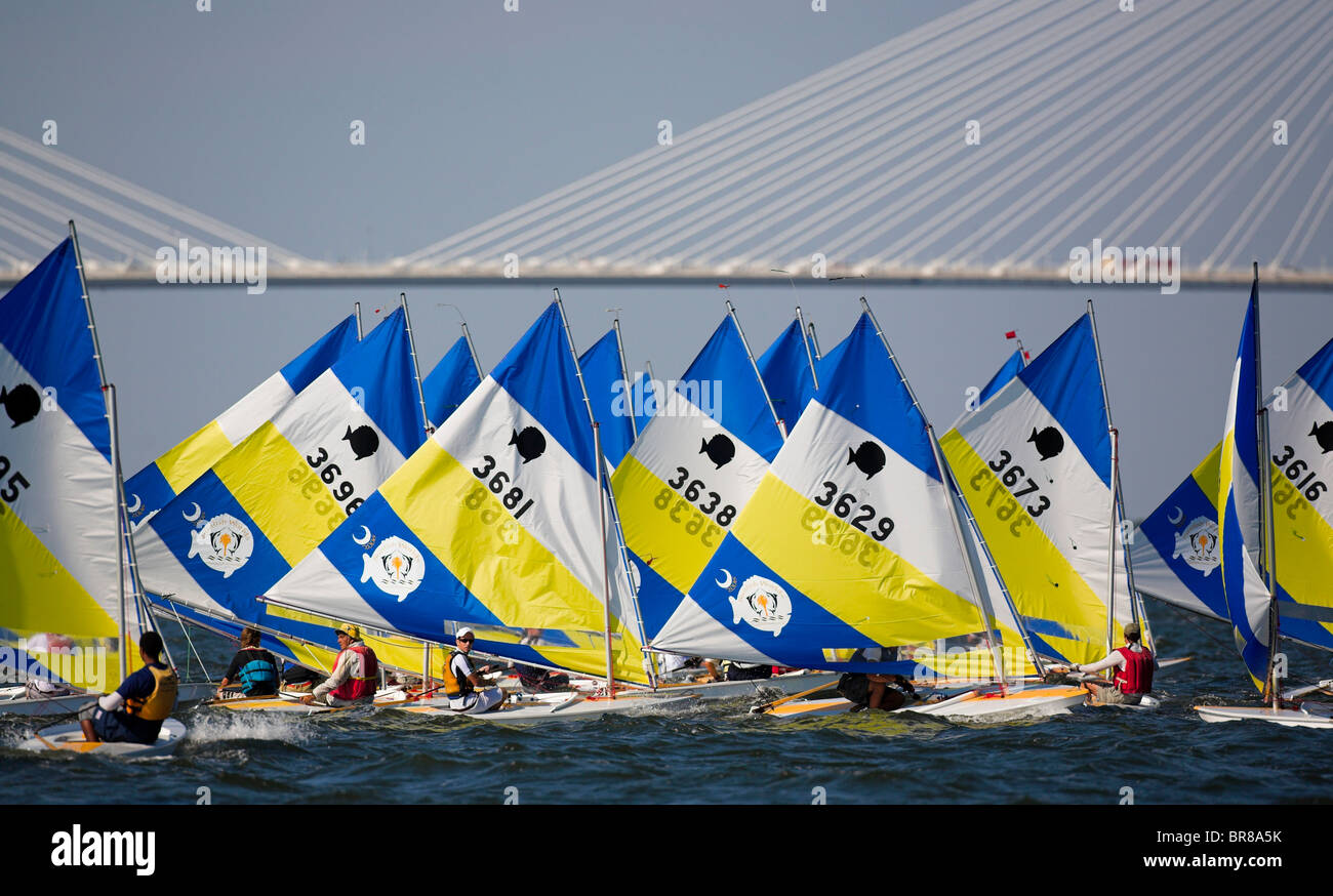 Racing at the Sunfish World Championship, Charleston, South Carolina