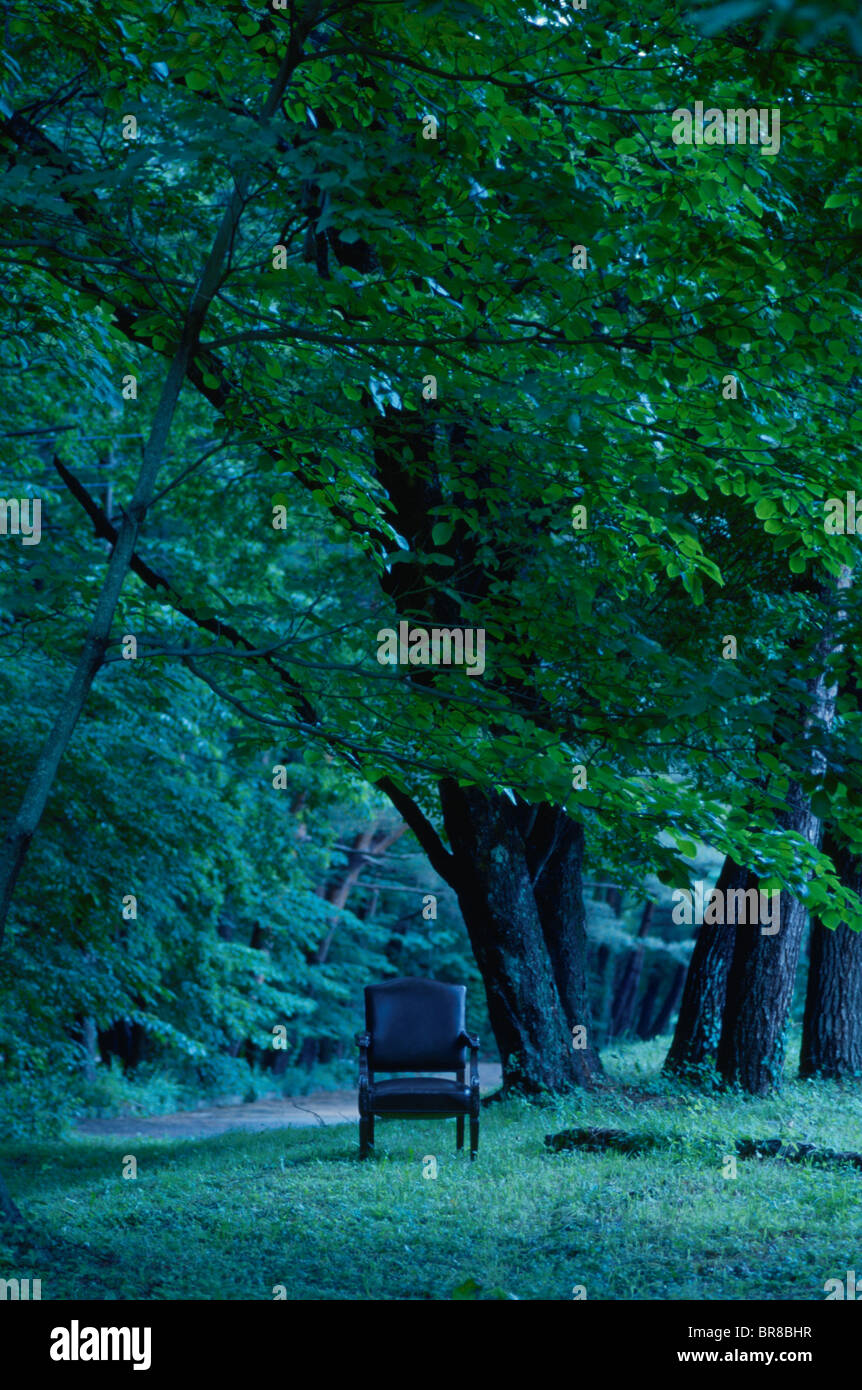 Chair under trees Stock Photo Alamy