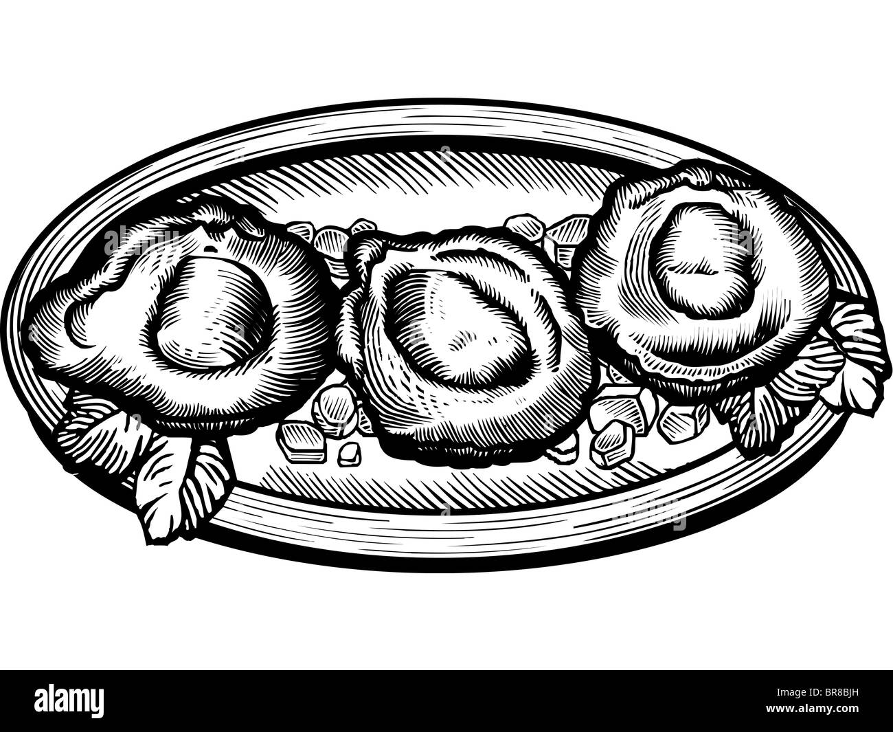 A plate of oysters on the half shell Stock Photo