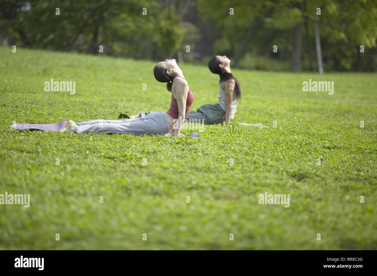 Women yoga bending over hi-res stock photography and images - Alamy