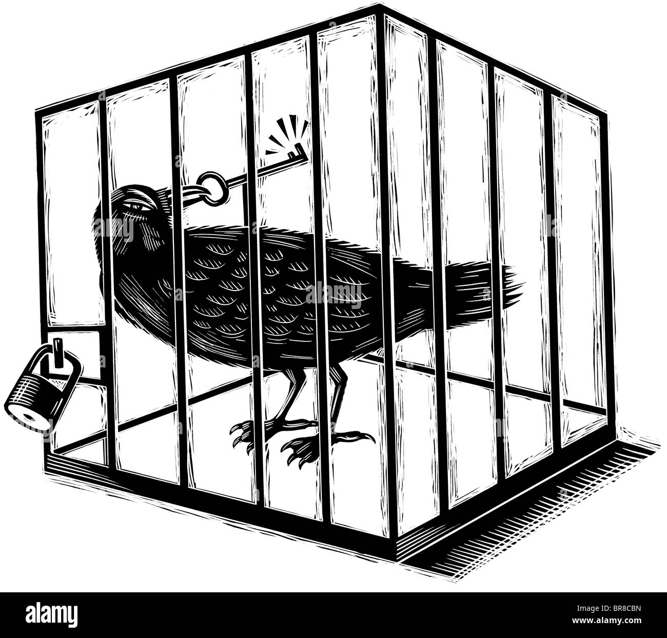 An illustration of a jail bird in black and white Stock Photo