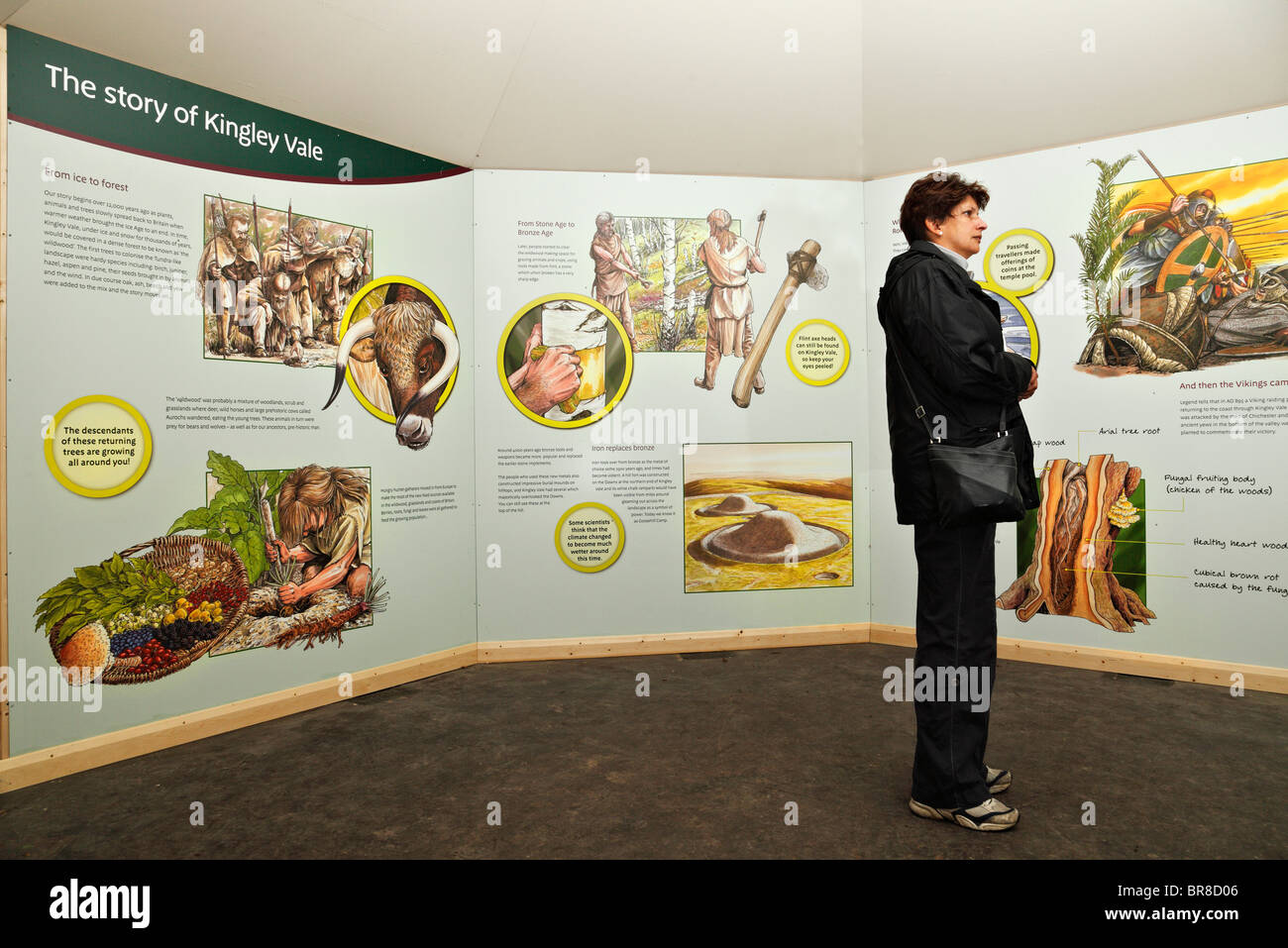 Kingley Vale ‘Field Museum’ visitor information hut. Stock Photo