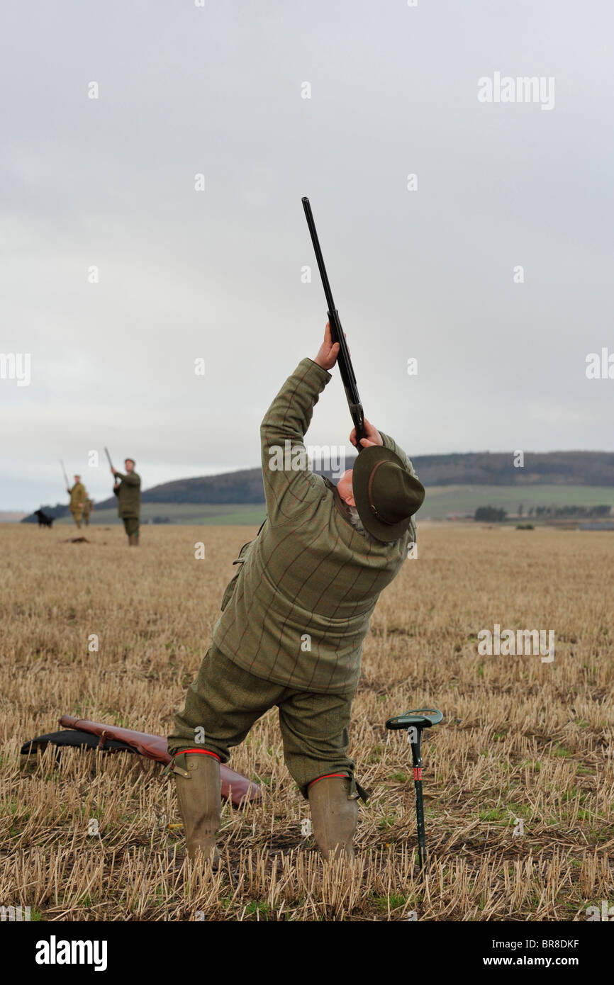 Driven Pheasant Line Shoots