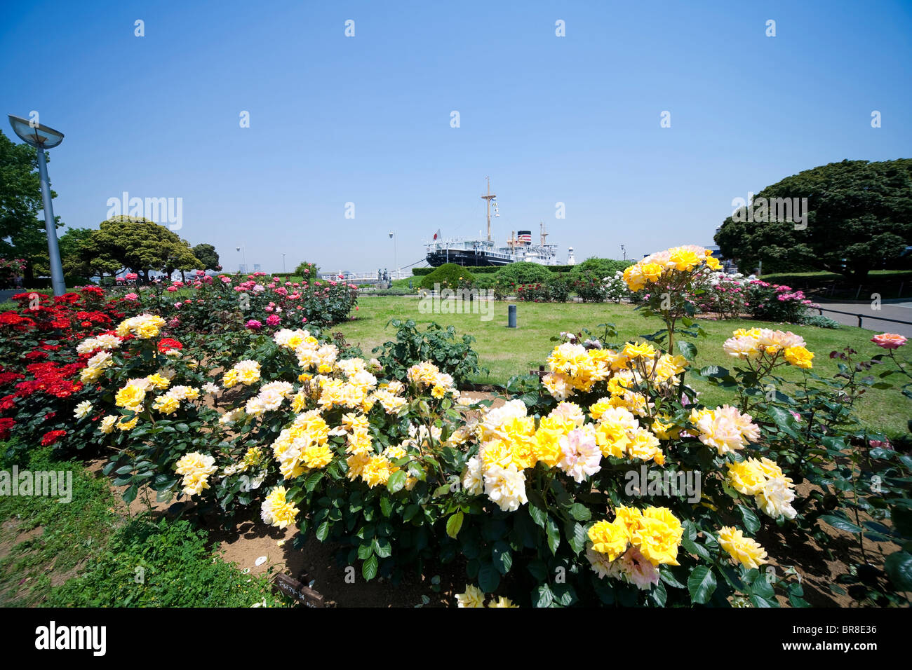 Rose garden and ship Stock Photo Alamy
