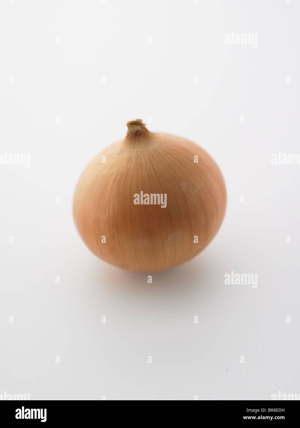 Copy onion hi-res stock photography and images - Alamy
