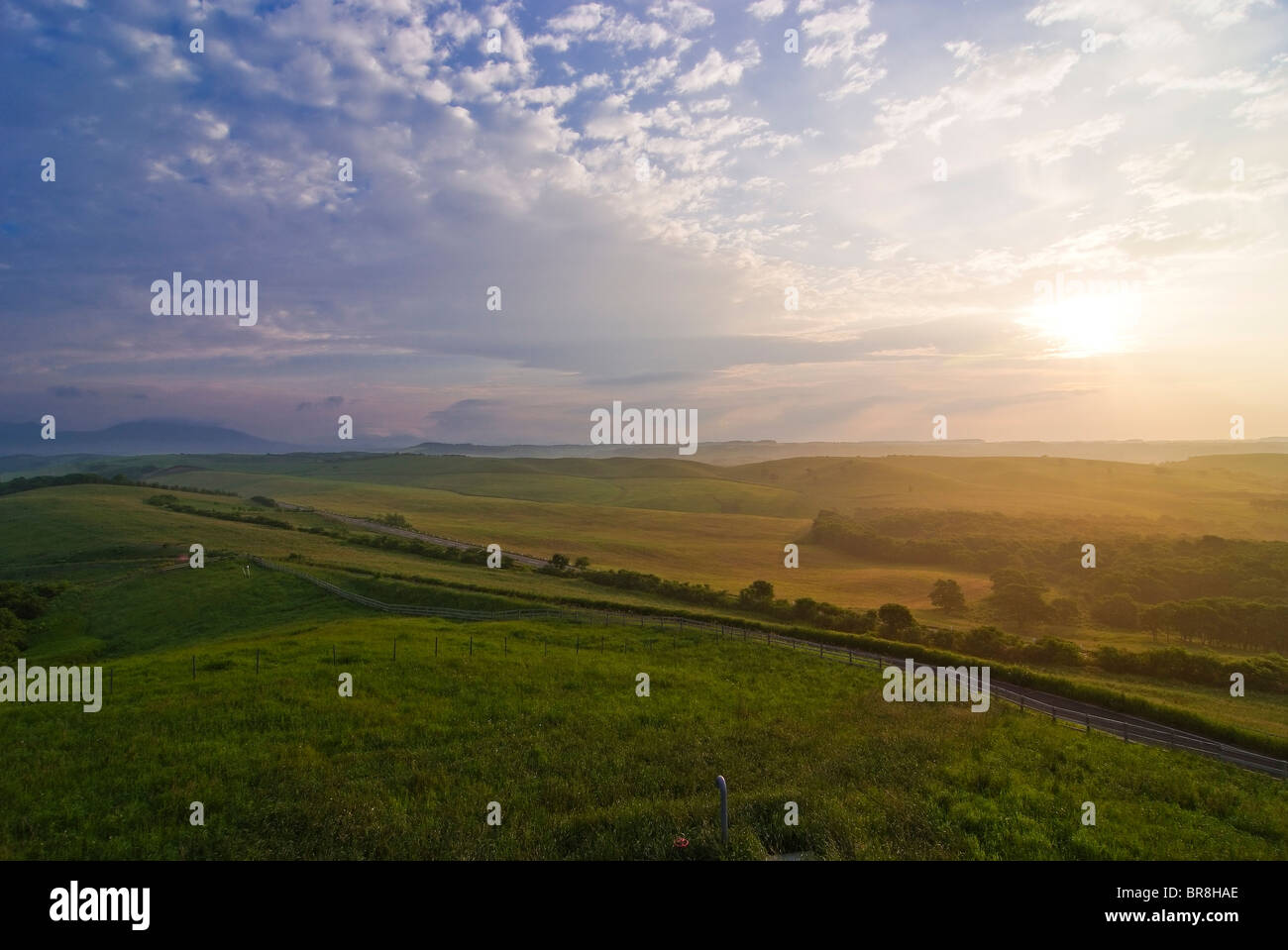 Morning Rach Ranch in the morning Stock Photo - Alamy