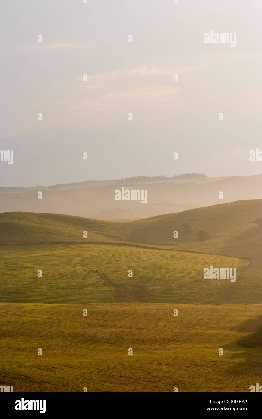 Morning Rach Ranch in the morning Stock Photo - Alamy