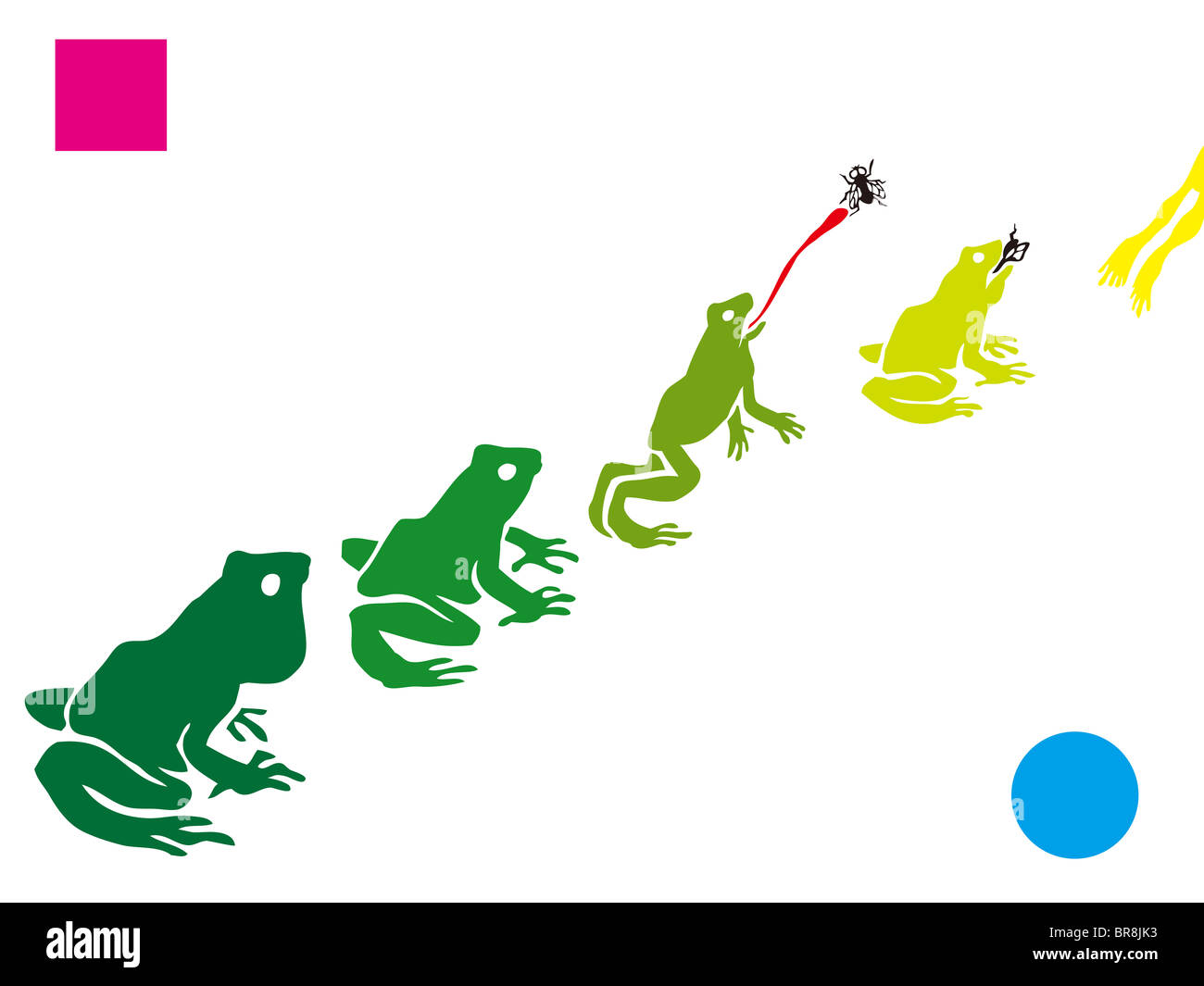 A stencil of frogs in a row Stock Photo Alamy
