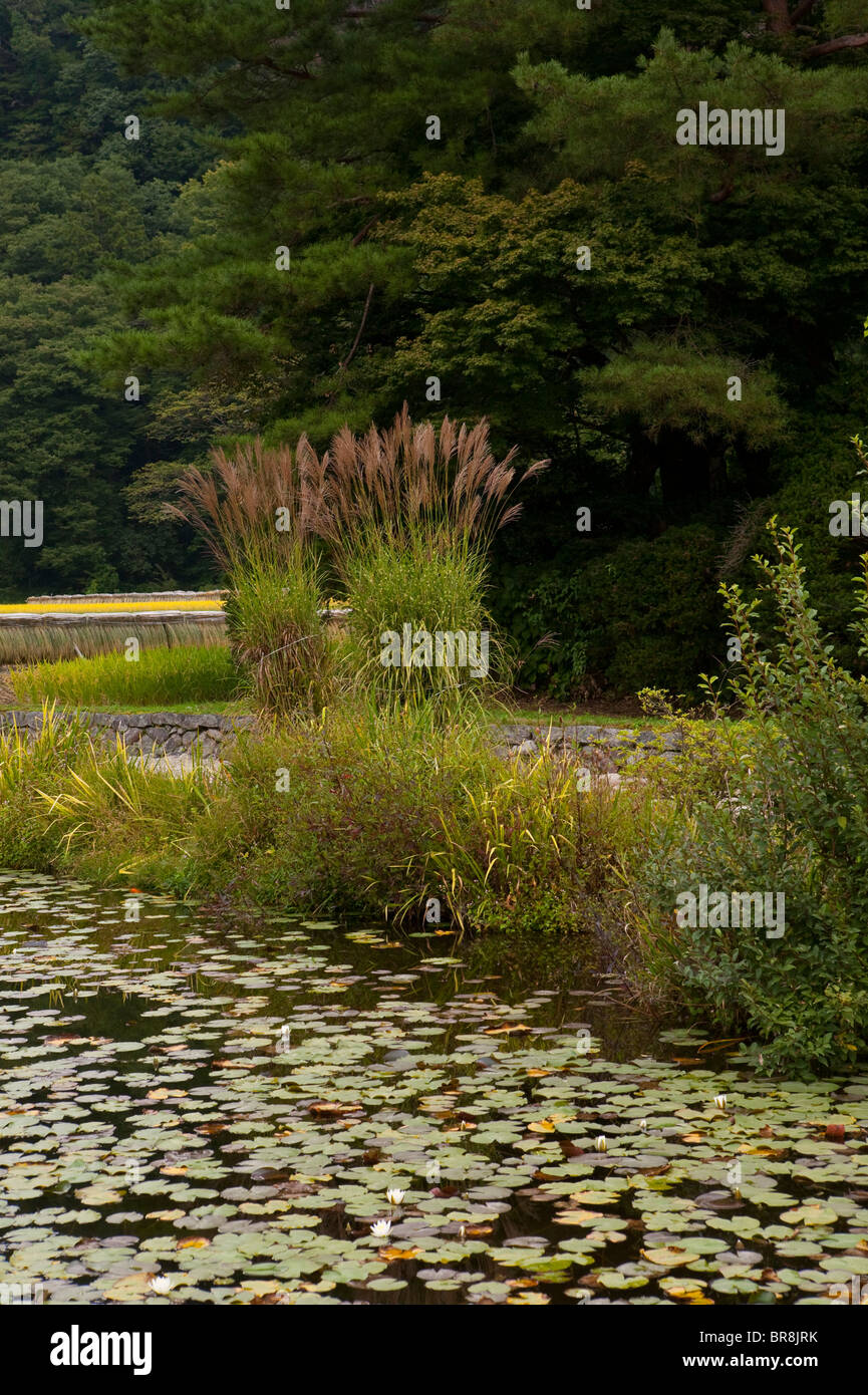 Pond, Shirakawa Village, Gifu Prefecture, Honshu, Japan Stock Photo