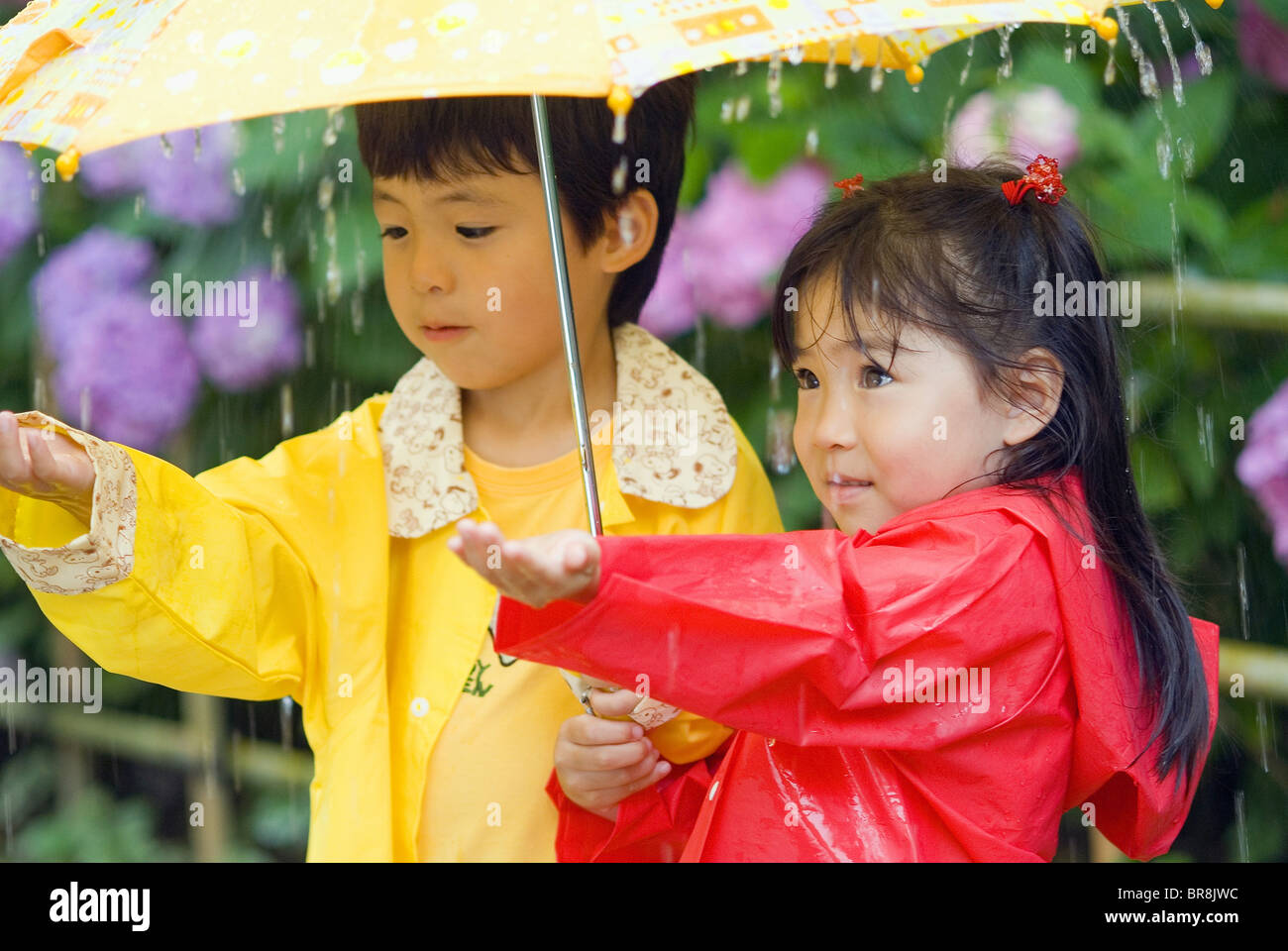 Girl and boy under umbrella and hands out in the rain Stock Photo - Alamy