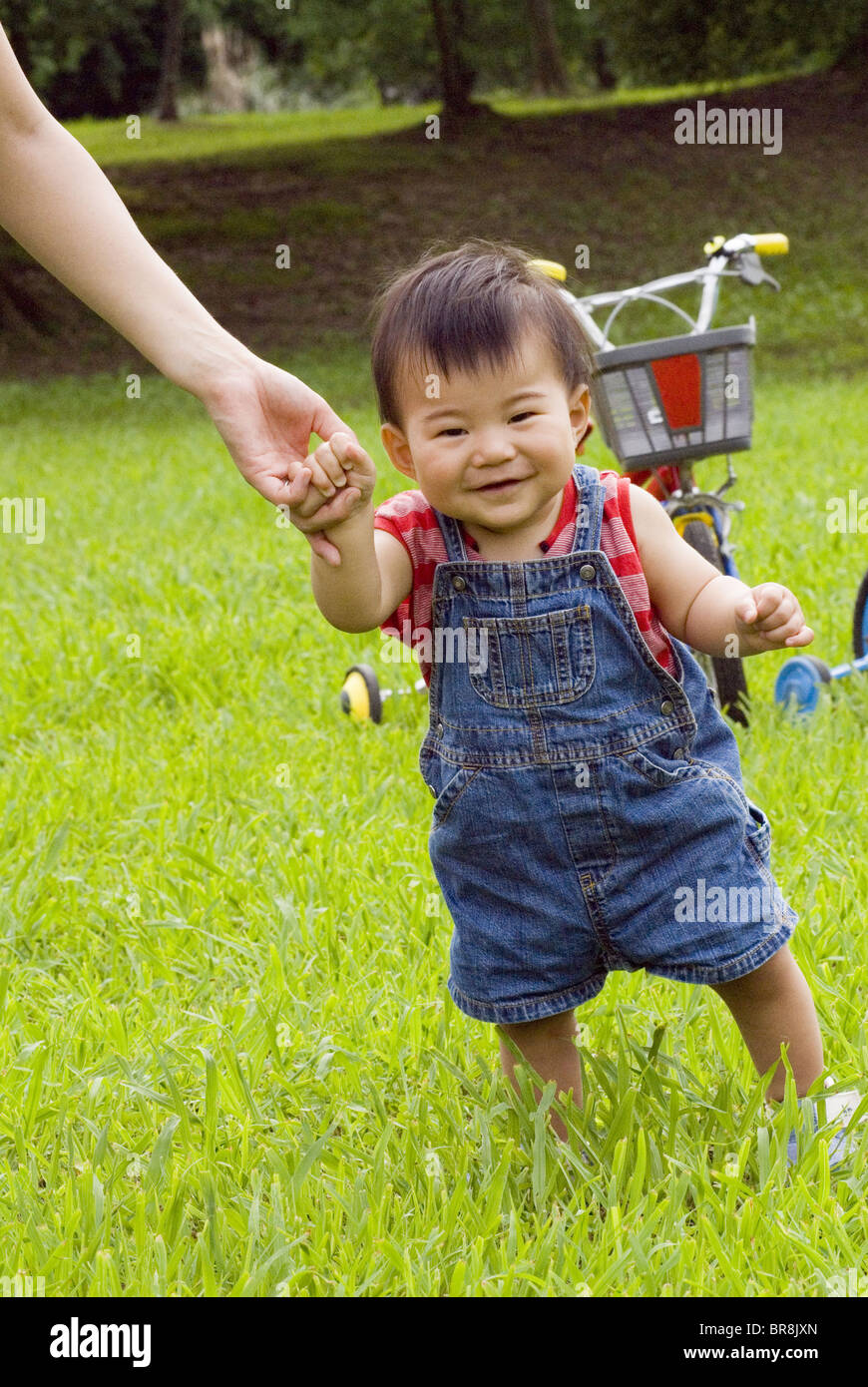 Baby boy walking supported by mother's hand Stock Photo Alamy