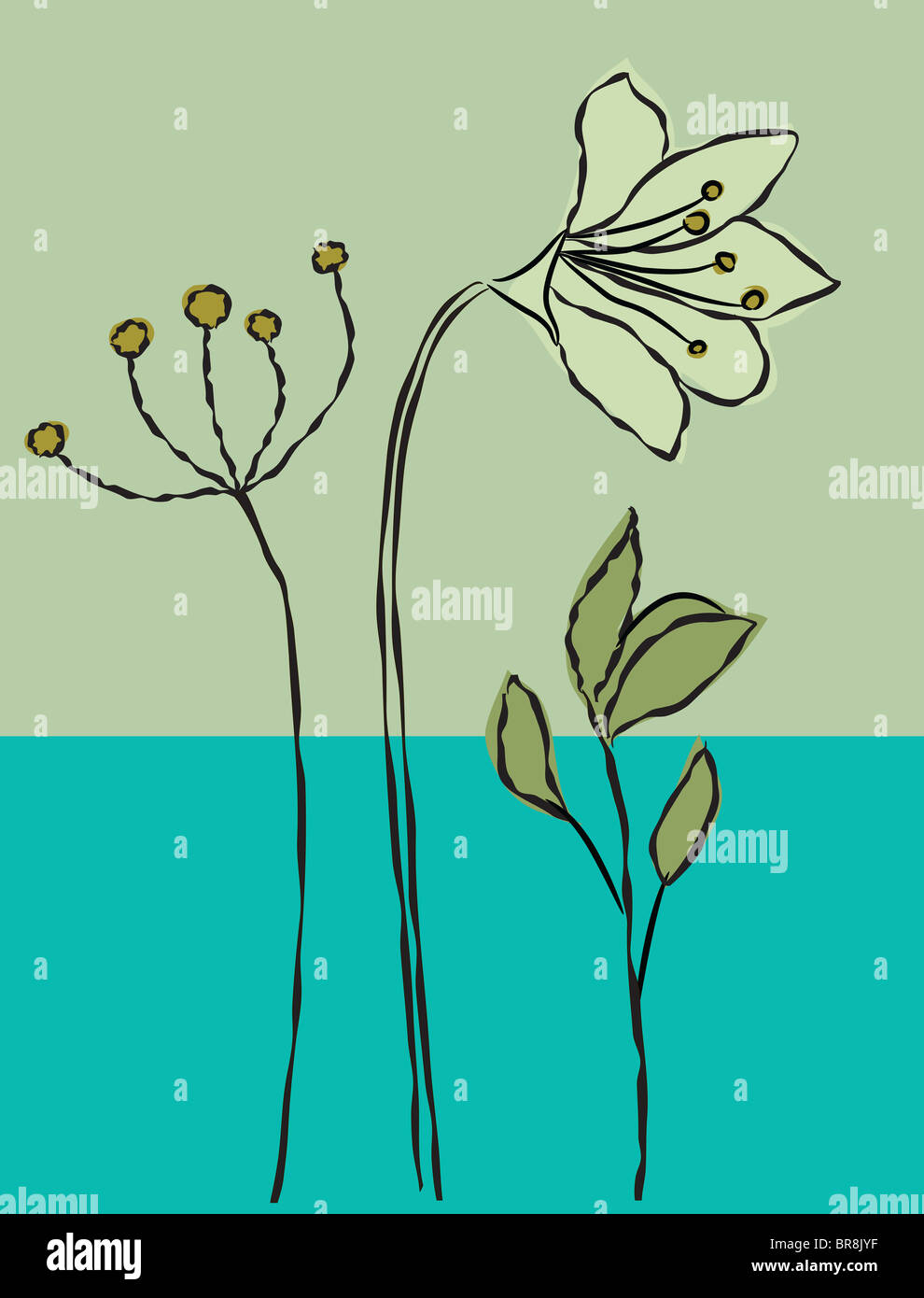 Flowers on a green background Stock Photo - Alamy