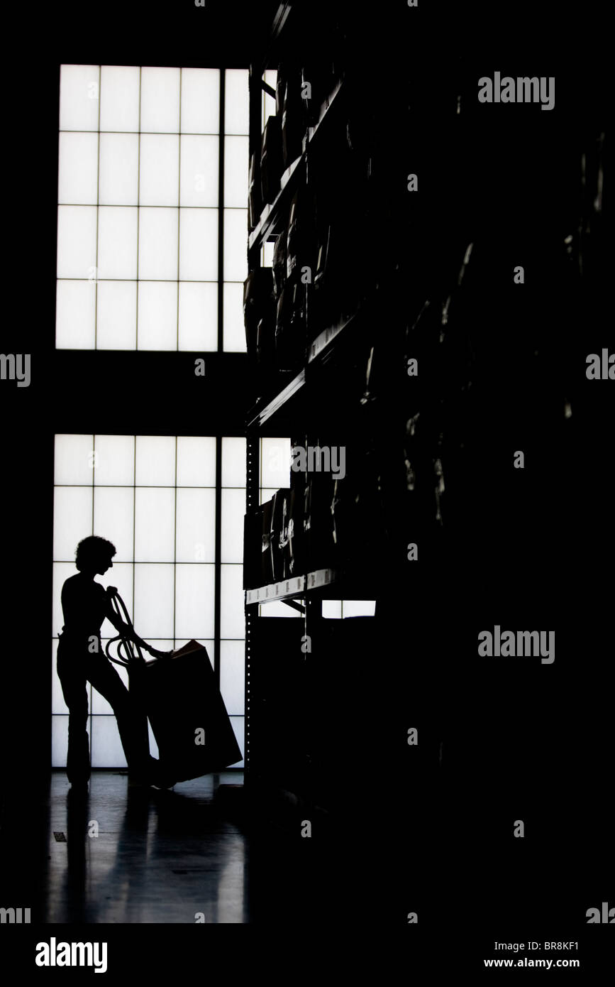 A woman handles a box on a dolly in a clothing distribution center in Reno Nevada (Silhouette). Stock Photo