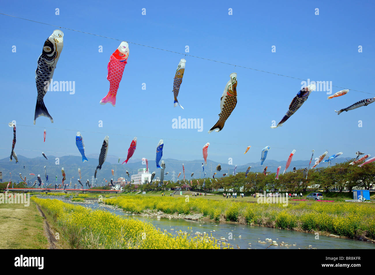 Carp streamers blowing in wind Stock Photo