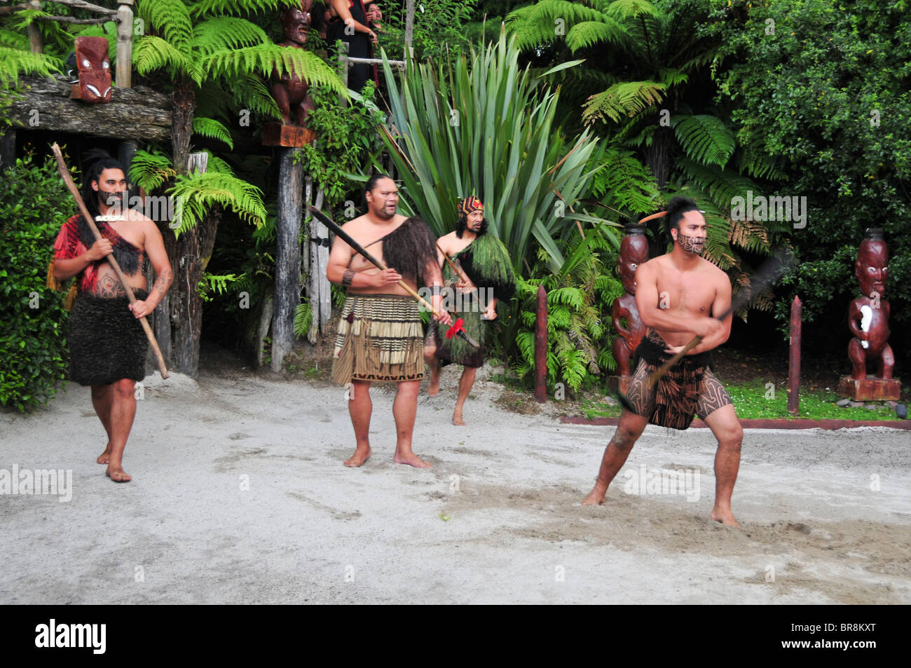 New Zealand, North Island, Rotorua, The Te Puia Geothermal Cultural