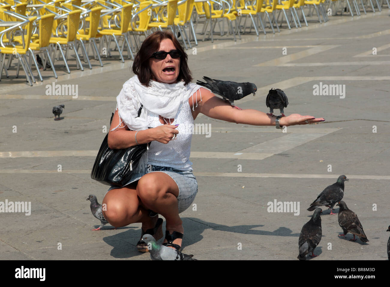 A tourist feeding the pigeons in St Marks square in Venice Stock Photo Alamy