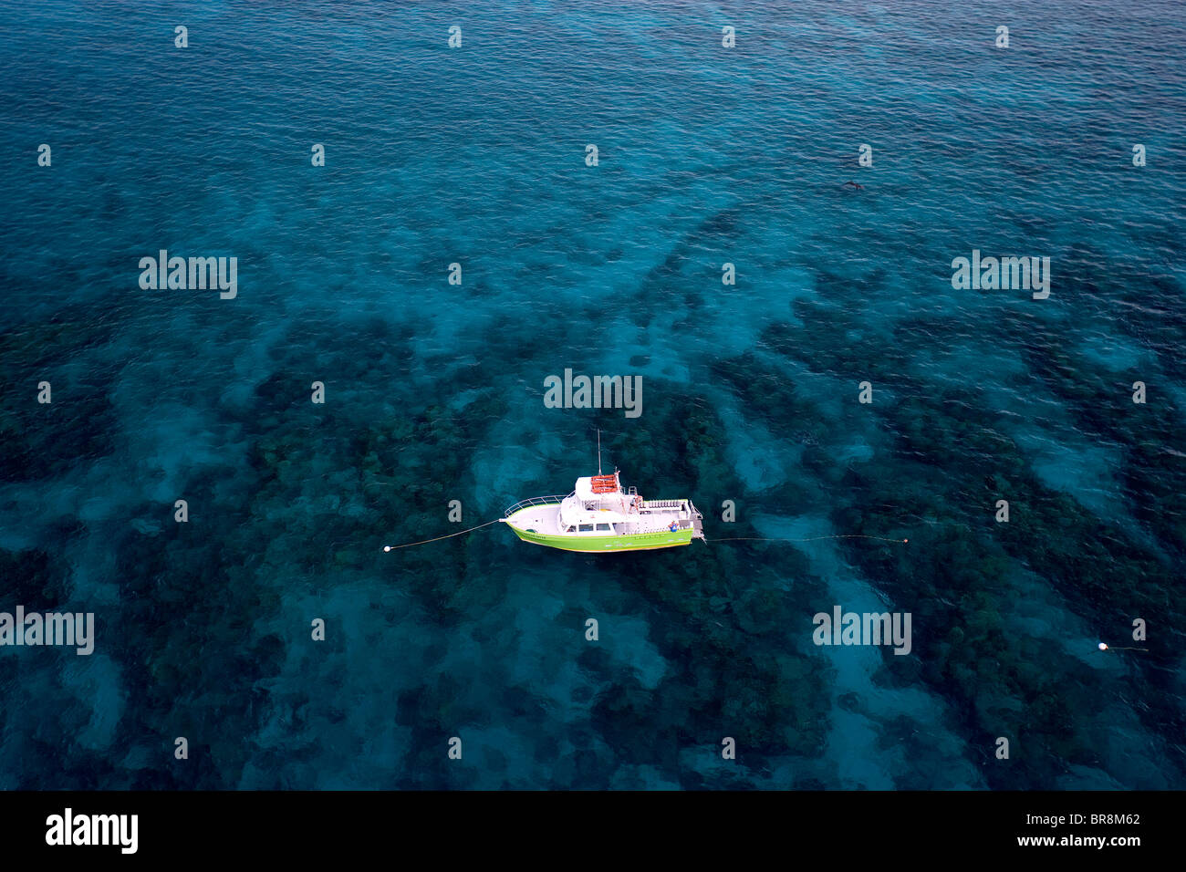 Aerial view of commercial dive boat on Molasses Reef Key Largo Florida
