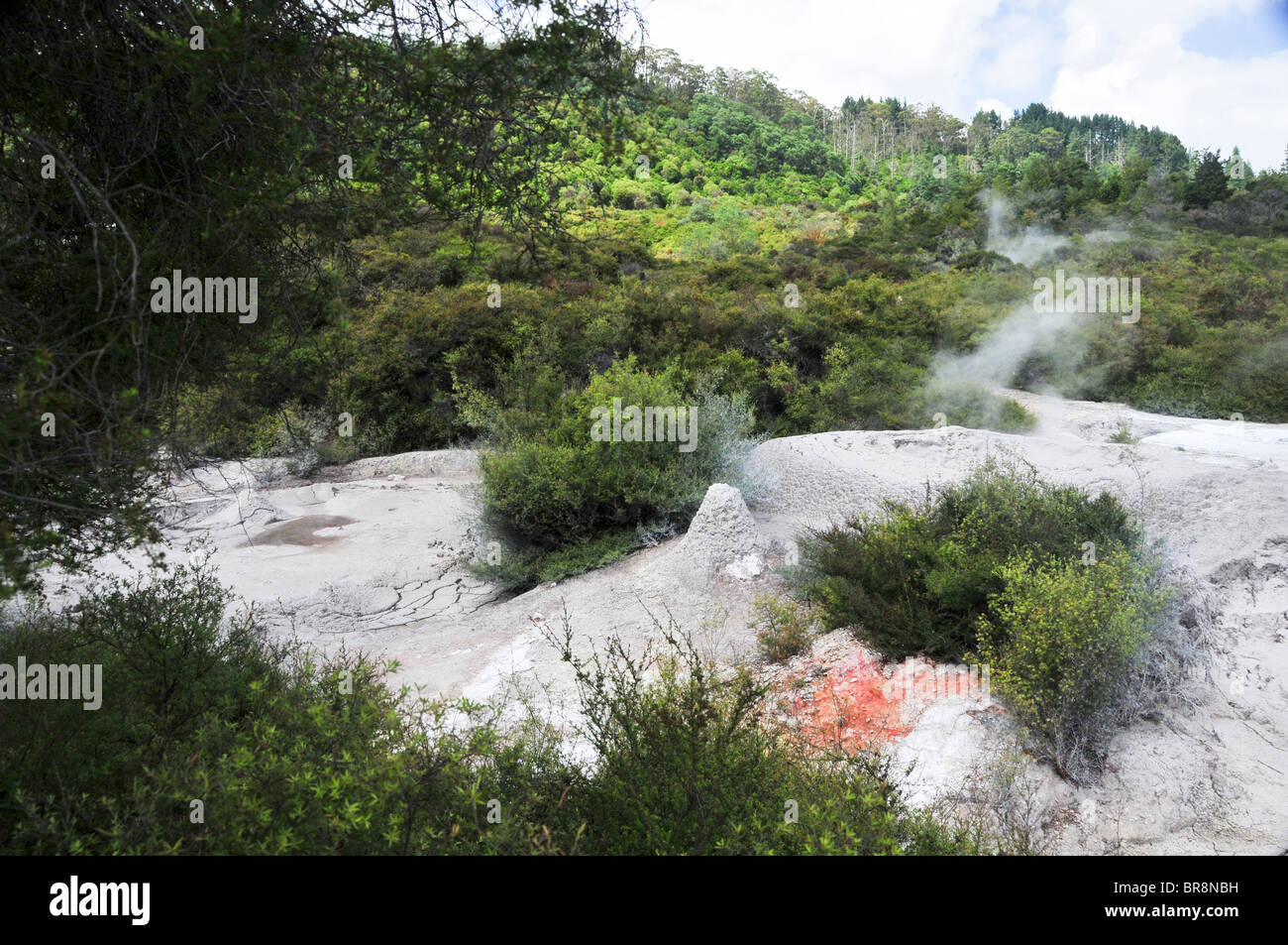 New Zealand, North Island, Rotorua, The Te Puia Geothermal Cultural Experience, Pohutu Geyser Stock Photo