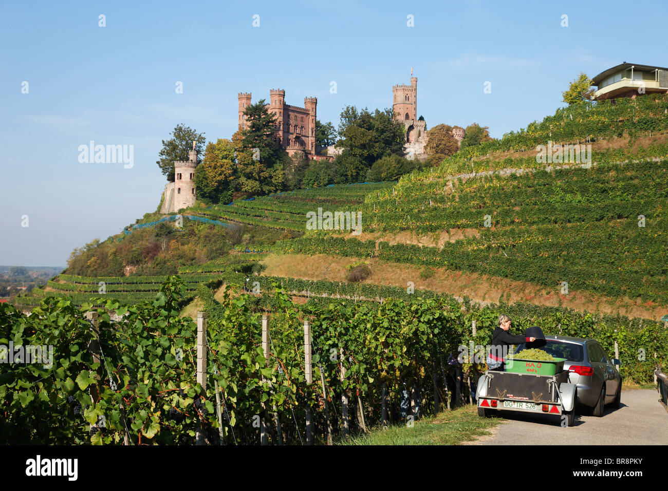 Vintage, Ortenberg castle in background, Ortenberg, Baden-Wurttemberg ...