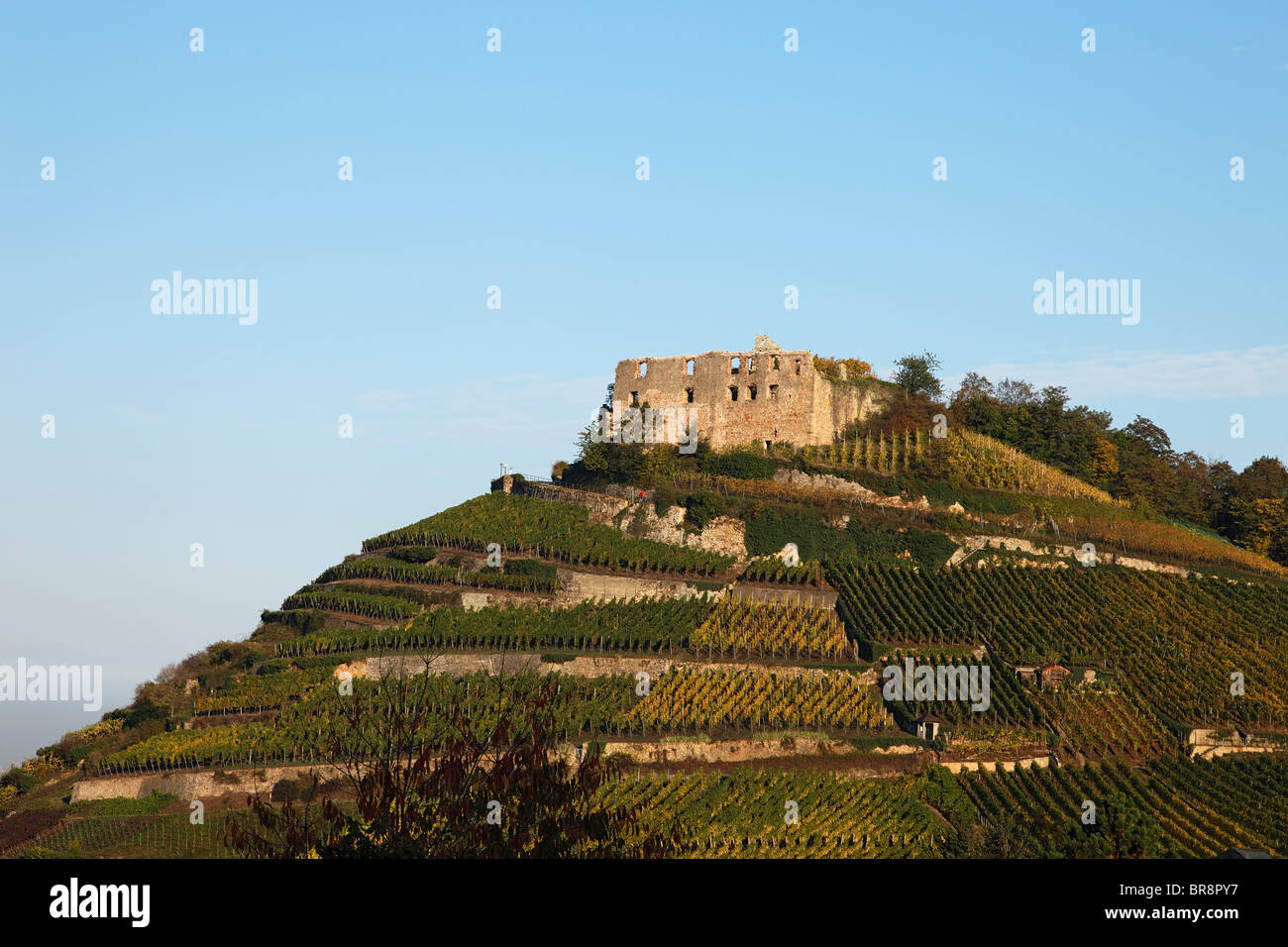 Staufen castle, Staufen im Breisgau, Baden-Wurttemberg, Germany Stock Photo