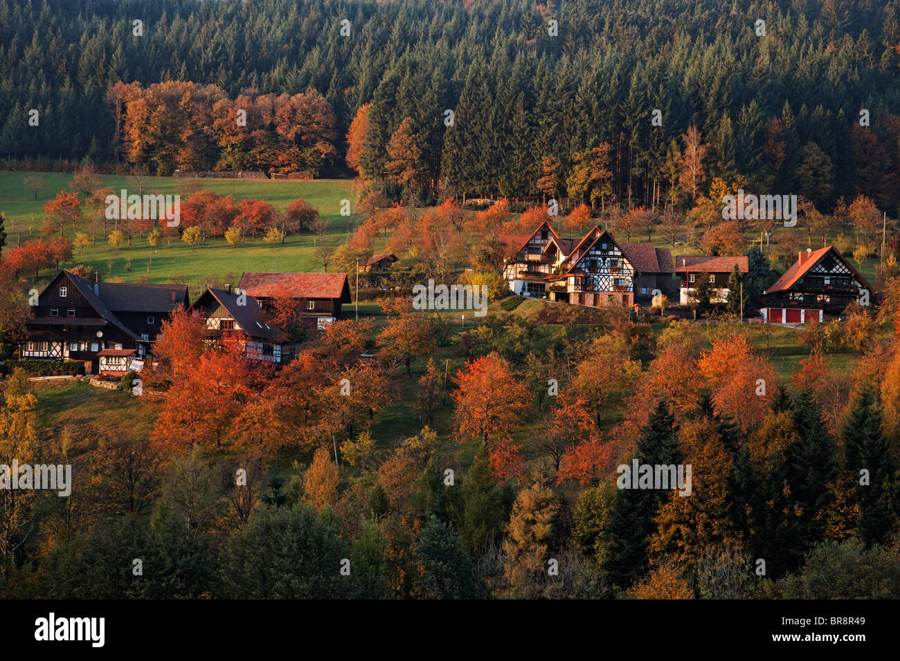 Half-timbered houses, Seebach valley, Baden-Wurttemberg, Germany Stock Photo