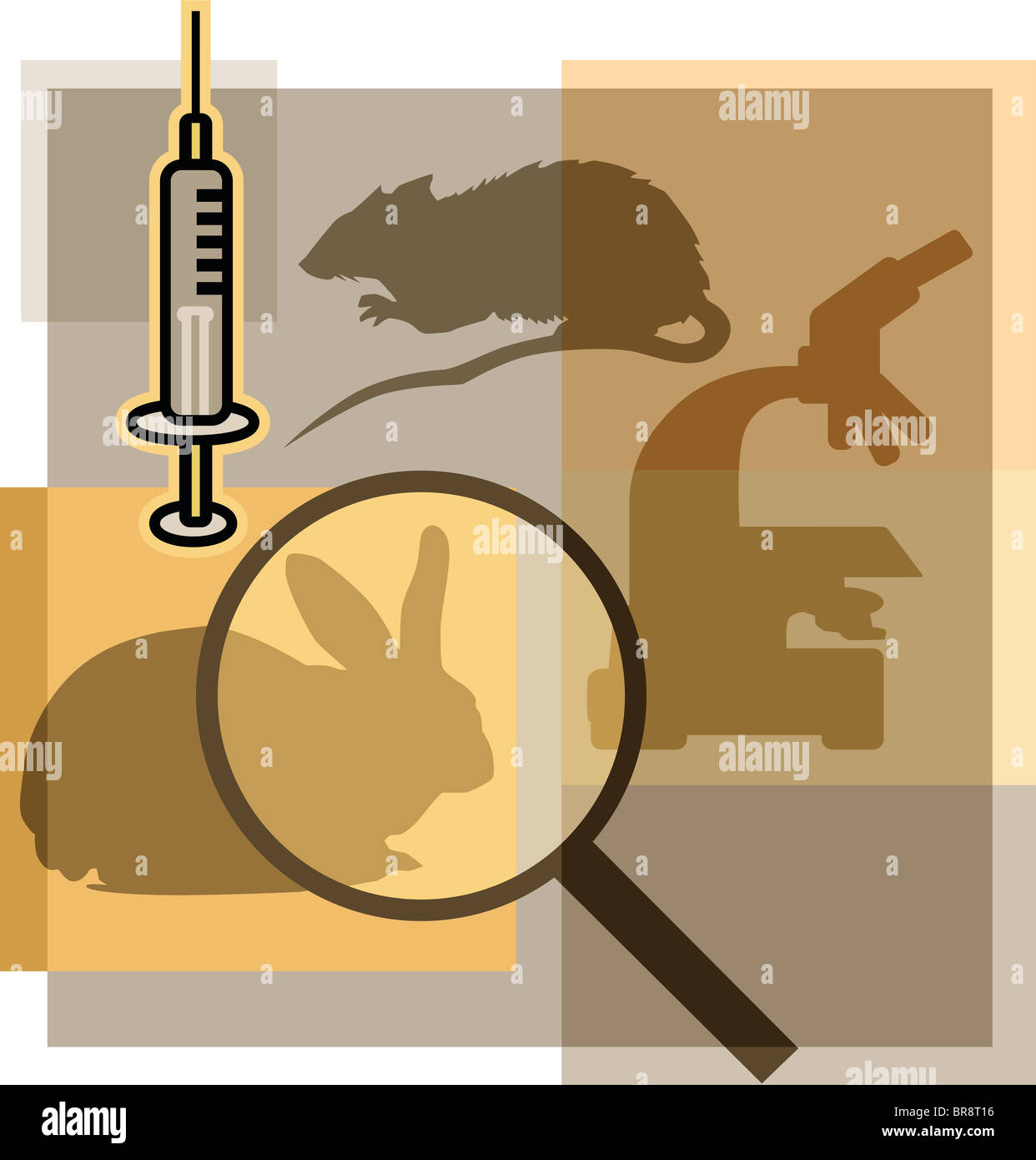 Montage illustration about animal testing containing a rat, rabbit, microscope, magnifying glass, and syringe Stock Photo