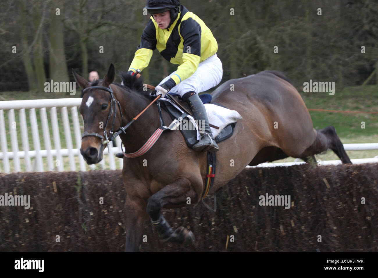 Point To Race Horse Hires Stock Photography And Images Alamy Point To Race Horse Hires Stock Photography And Images Alamy