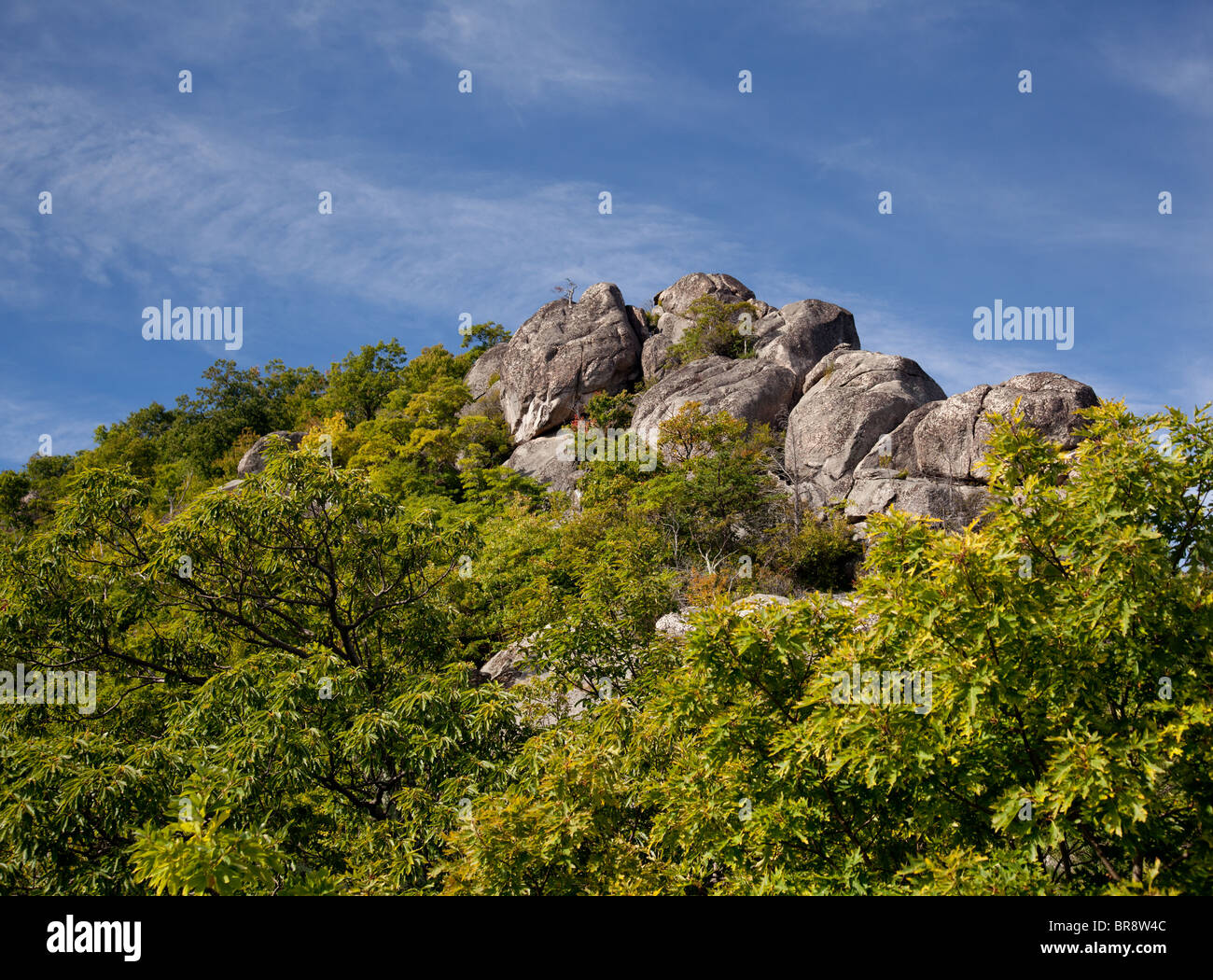 Shenandoah National Park mountain and rocks, USA Stock Photo