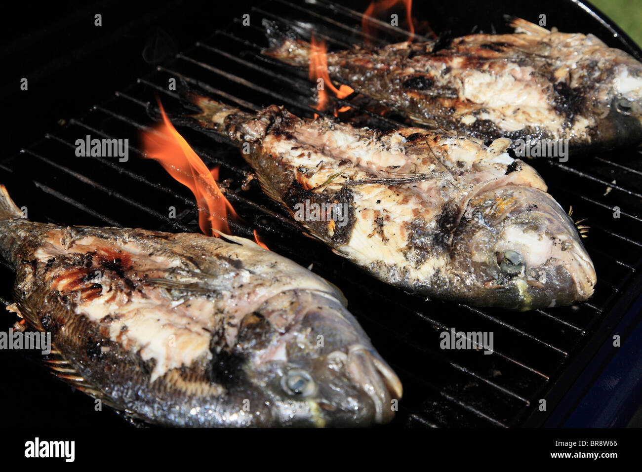 Three sea bream cooking on a barbecue - focus on centre Stock Photo - Alamy