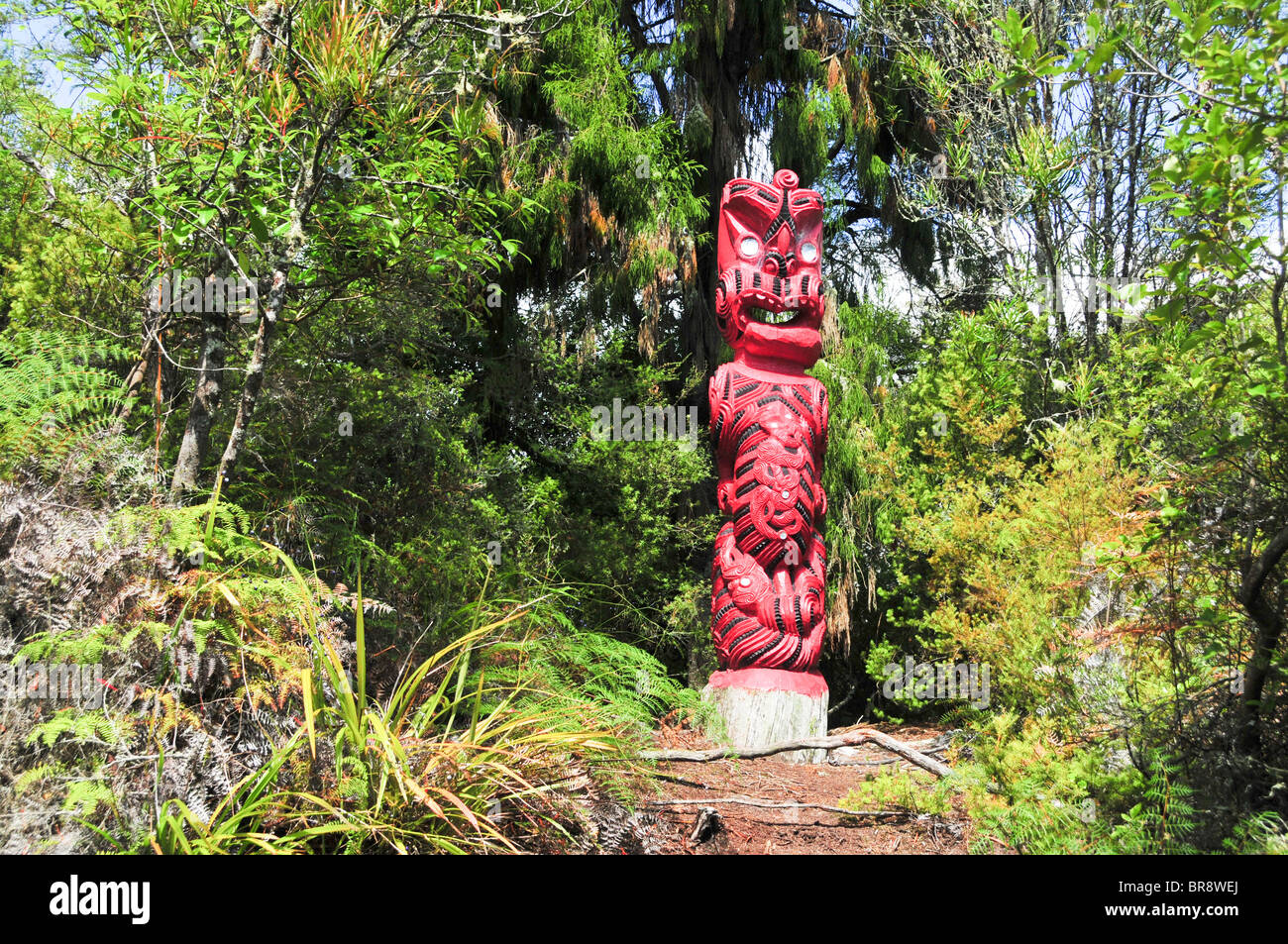 New Zealand, North Island, Rotorua, The Te Puia Geothermal Cultural Experience, Traditional wood carving detail Stock Photo