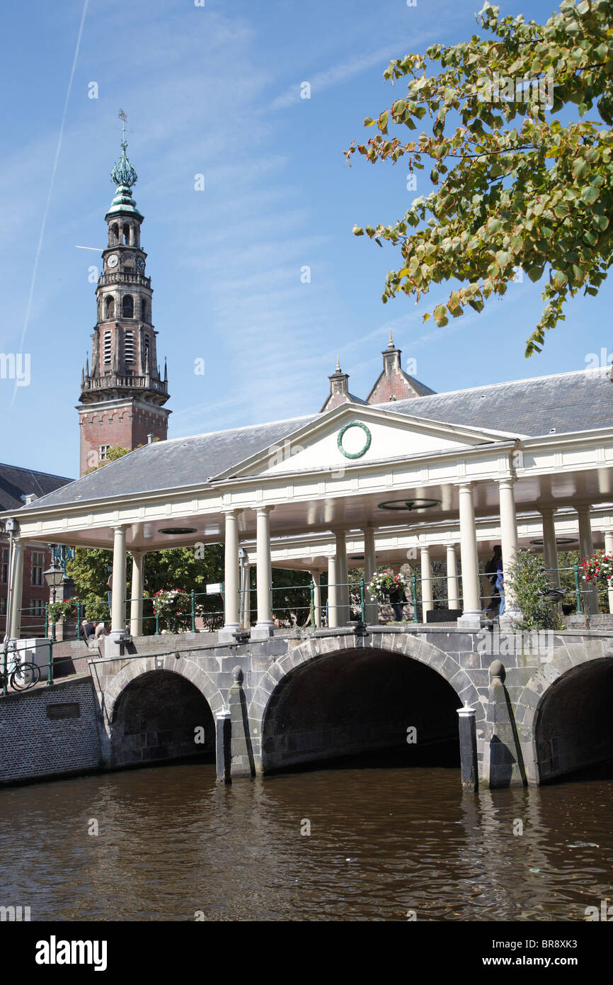 Canal and Town Hall tower with famous covered Corn Bridge, Leiden ...