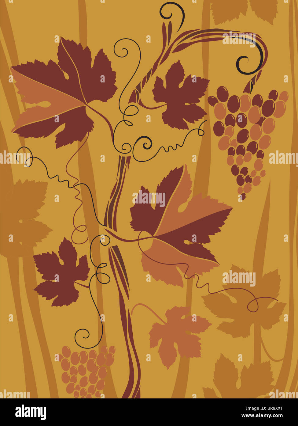 A decorative illustration of grape vines Stock Photo Alamy