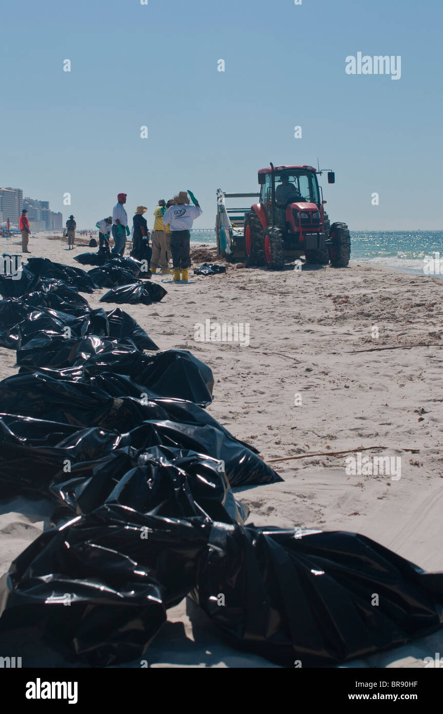 BP crews clean oil from beach, Gulf Shores, Alabama. Stock Photo