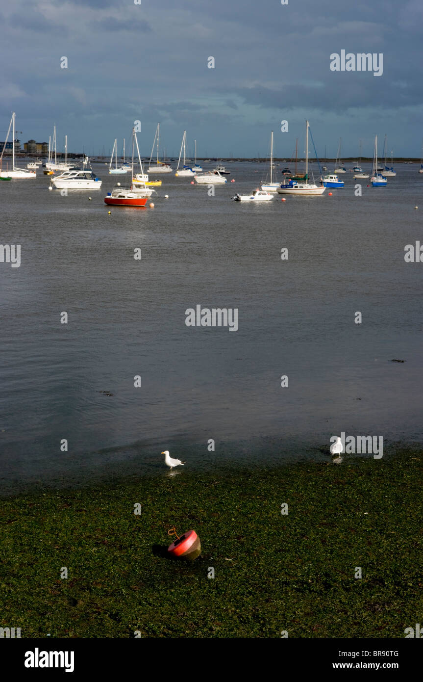 Tidal estuary and sea uk hi-res stock photography and images - Alamy