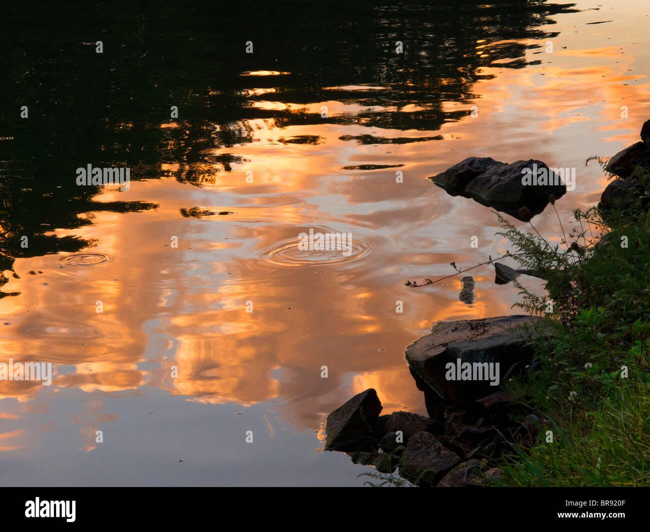 Sunset reflected in water. Stock Photo