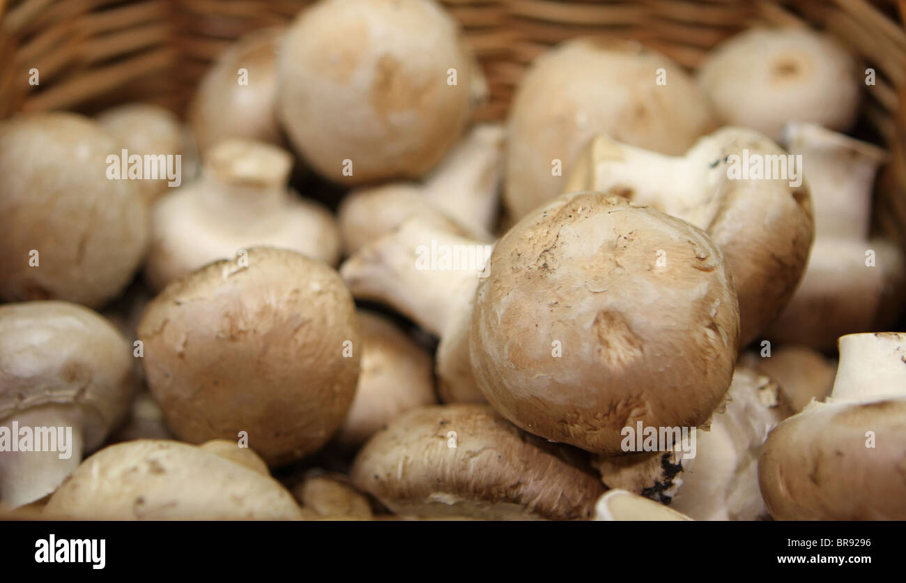 Chestnut mushrooms in a basket - soft focus image Stock Photo