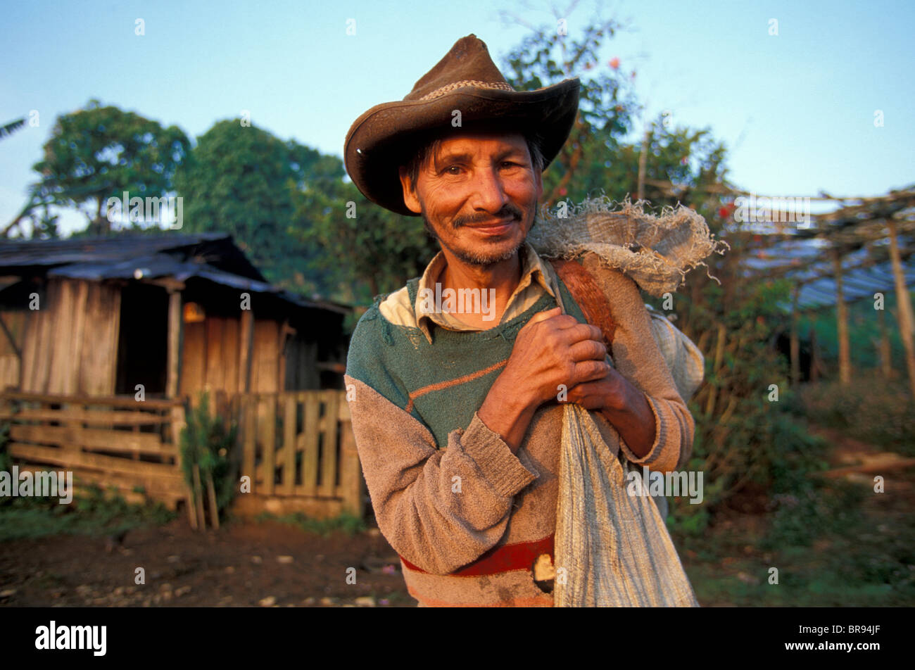 A coffee farmer in Honduras. Stock Photo