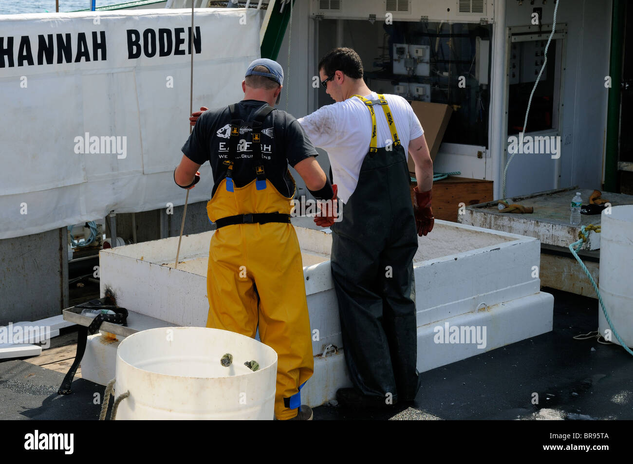 UnLoading Swordfish From The Hannah Boden Fishing Boat, From The Discovery Channel Show, Swords