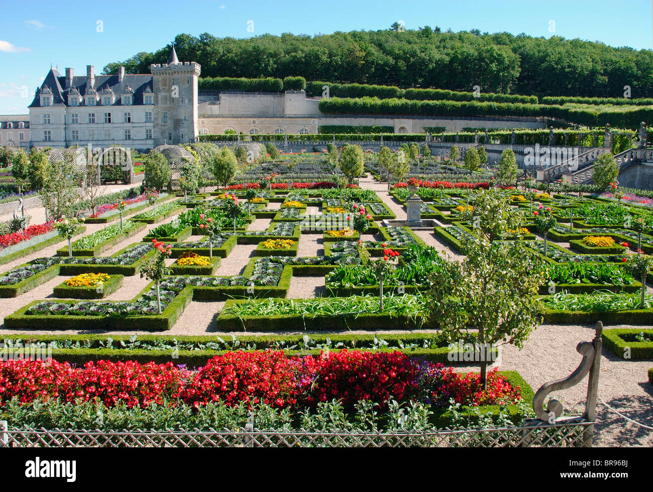 The grounds of the Chateau de Villandry, Indre et Loire, France Stock Photo