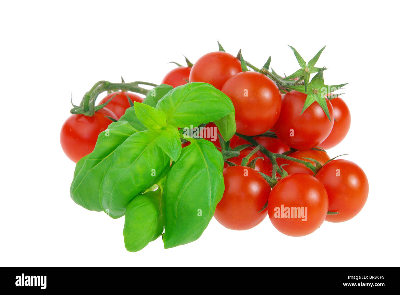 Tomate und Basilikum - tomato and basil 11 Stock Photo - Alamy