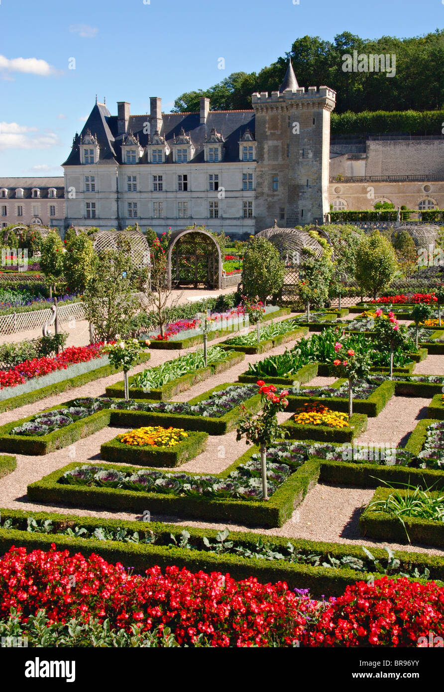 Gardens of the Chateau de Villandry,Indre et Loire, France Stock Photo