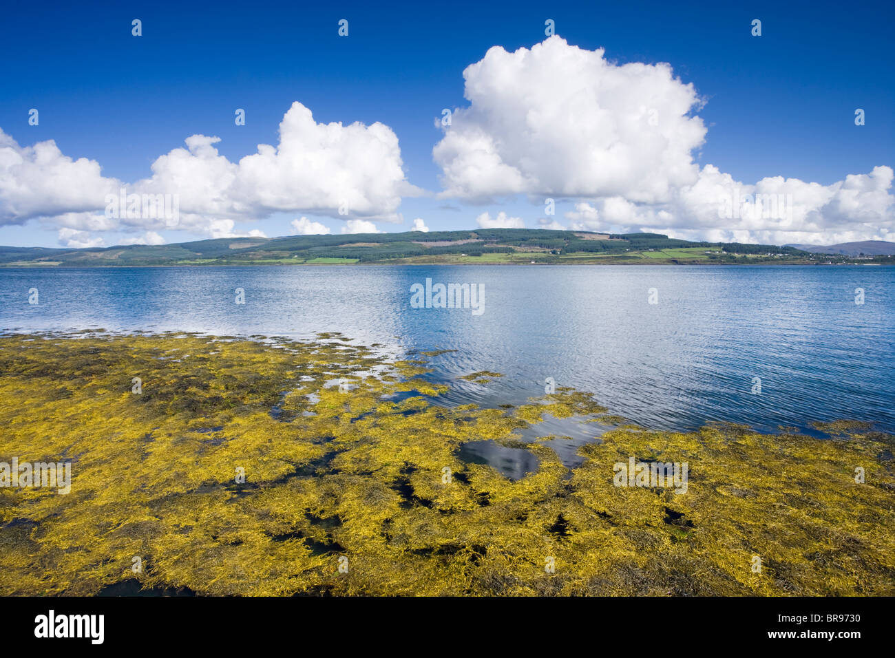 View from Isle of Mull at Fishnish towards Lochaline, Scotland, UK Stock Photo