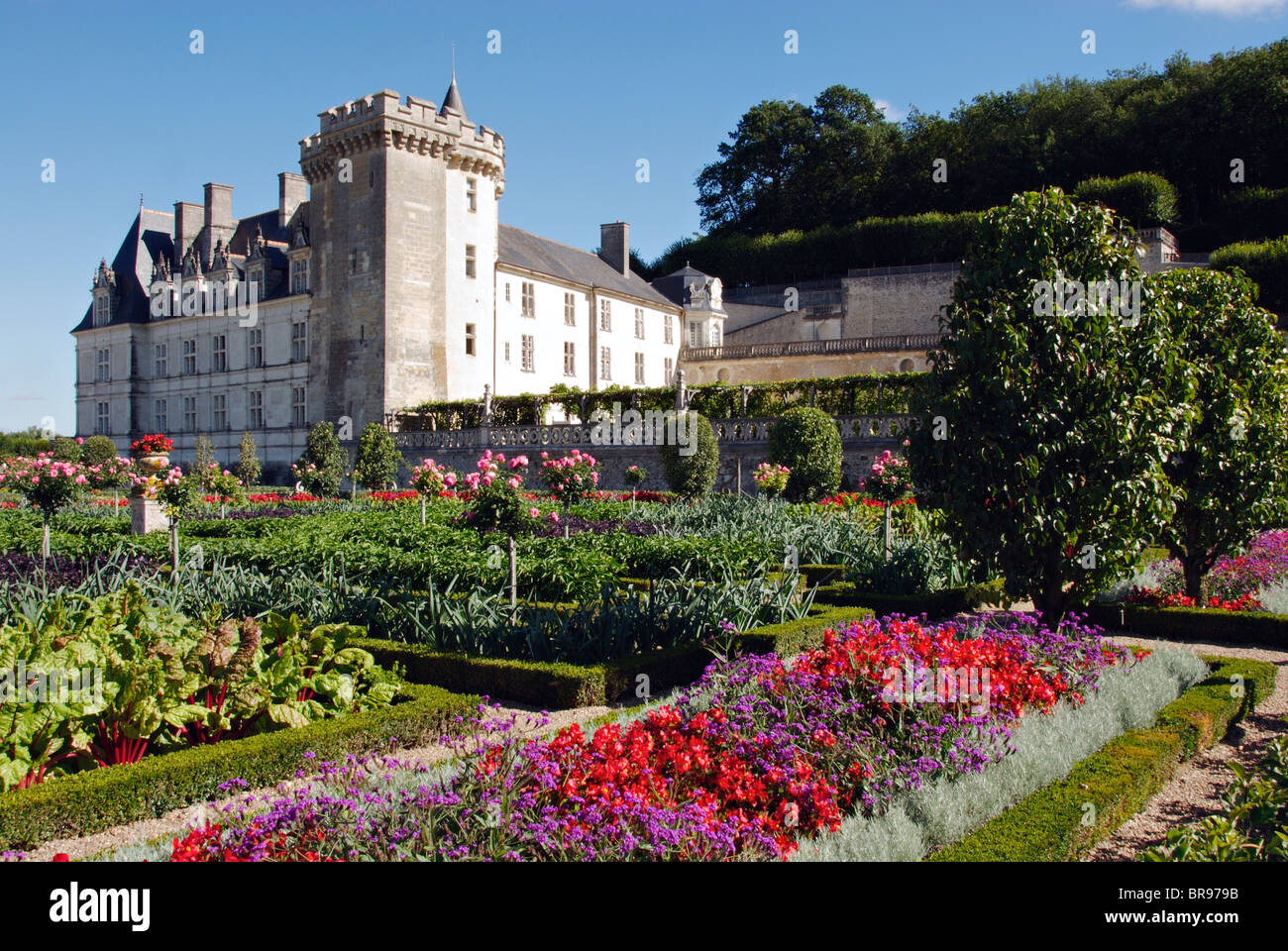 The Chateau de Villandry and the Potager garden, Indre et Loire, France Stock Photo
